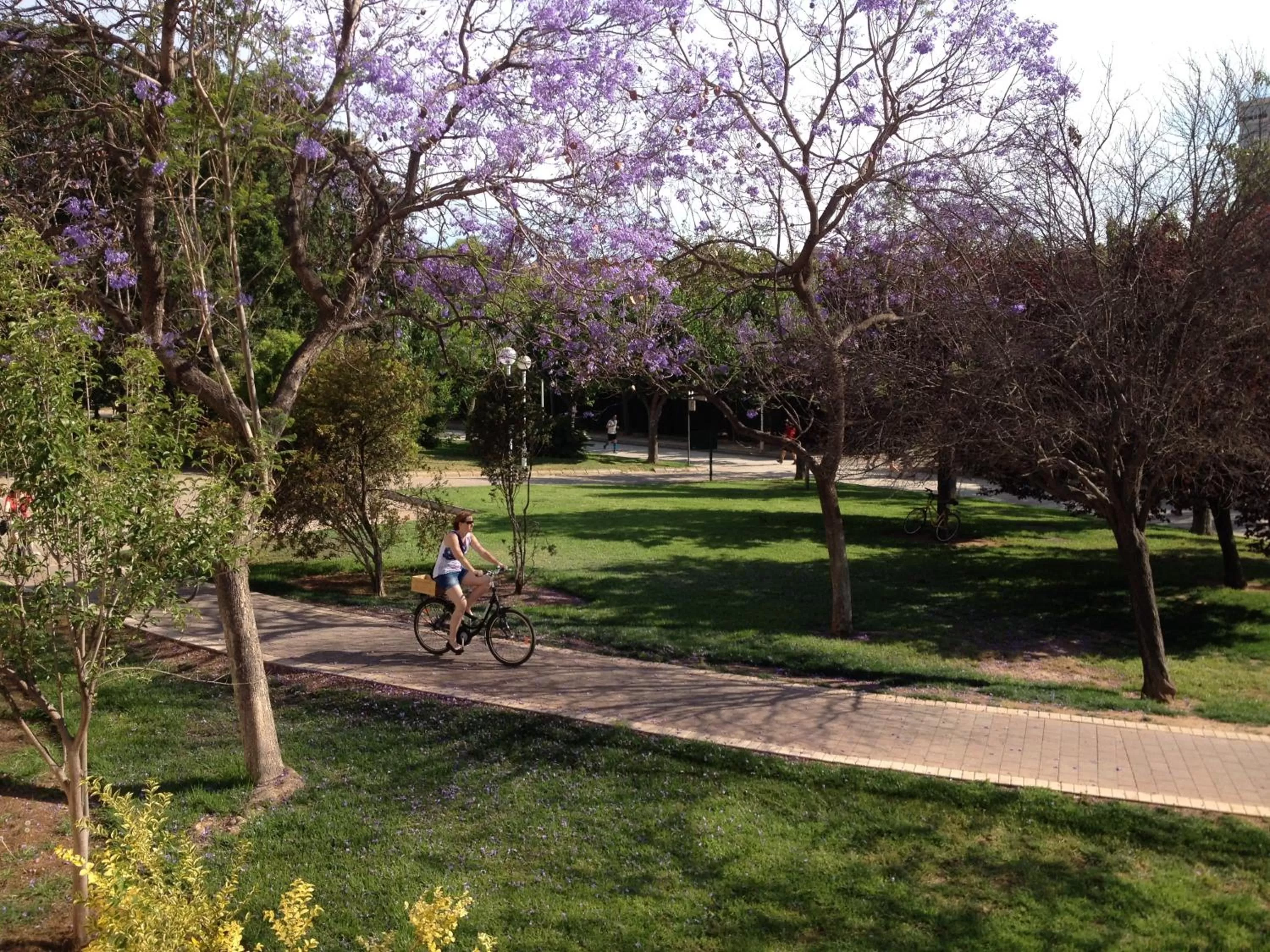 Off site in MD Modern Hotel - Jardines