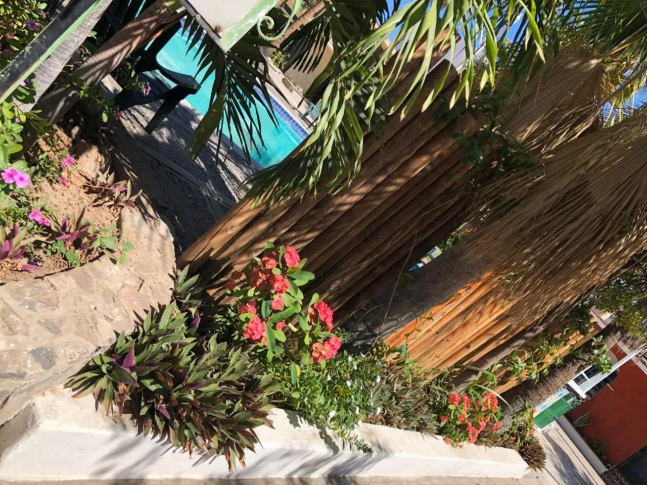 Swimming pool in Hotel Calafia