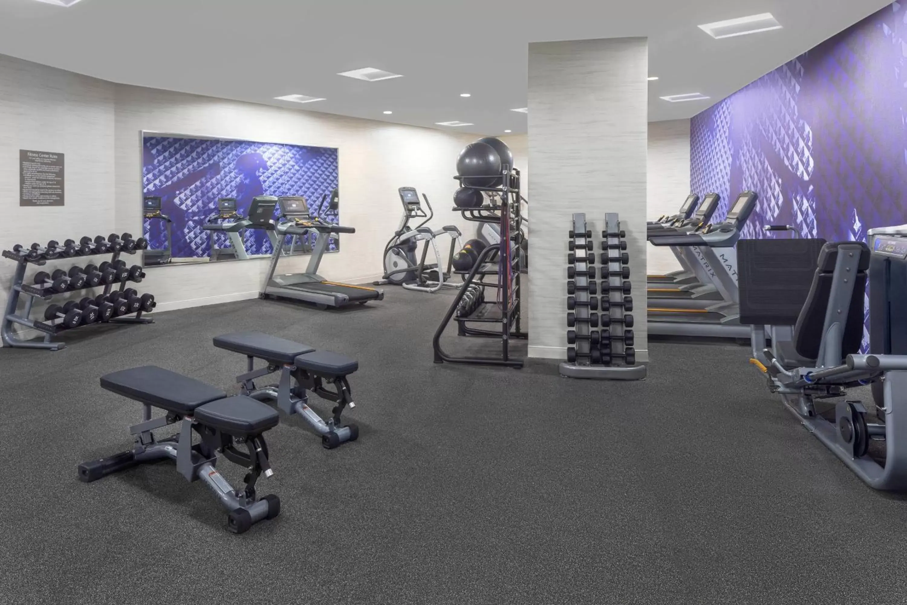 Fitness centre/facilities, Fitness Center/Facilities in Delta Hotel Philadelphia Airport