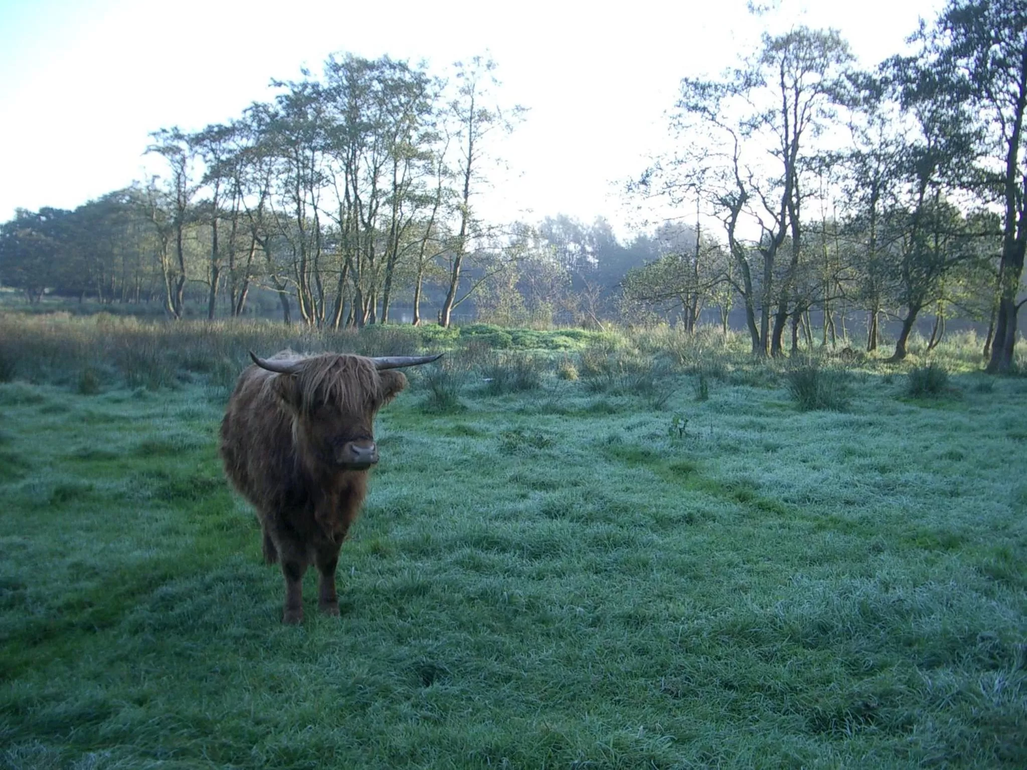 On site, Garden in De Wiede Blik