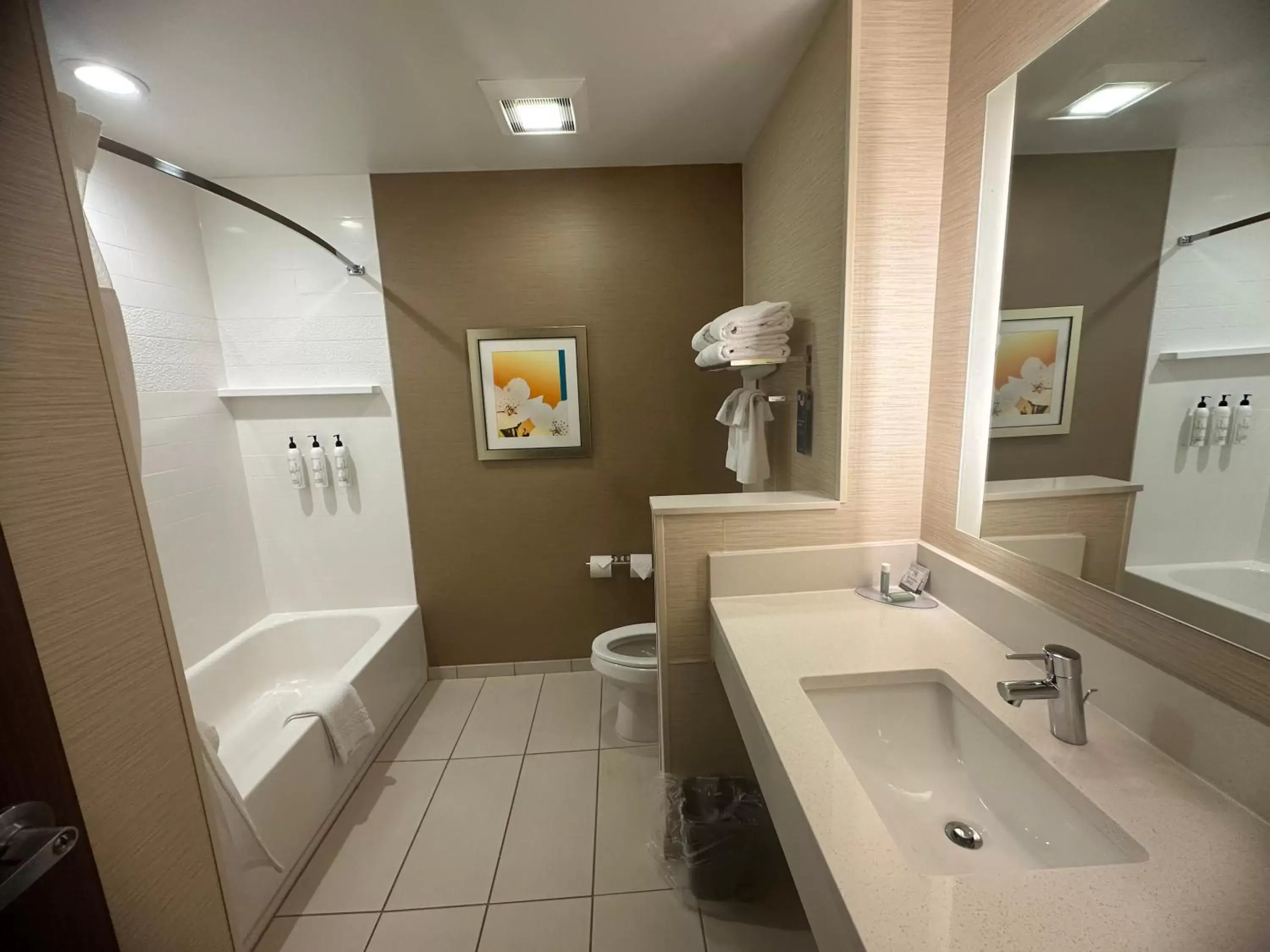 Bathroom in Fairfield Inn & Suites by Marriott Detroit Chesterfield