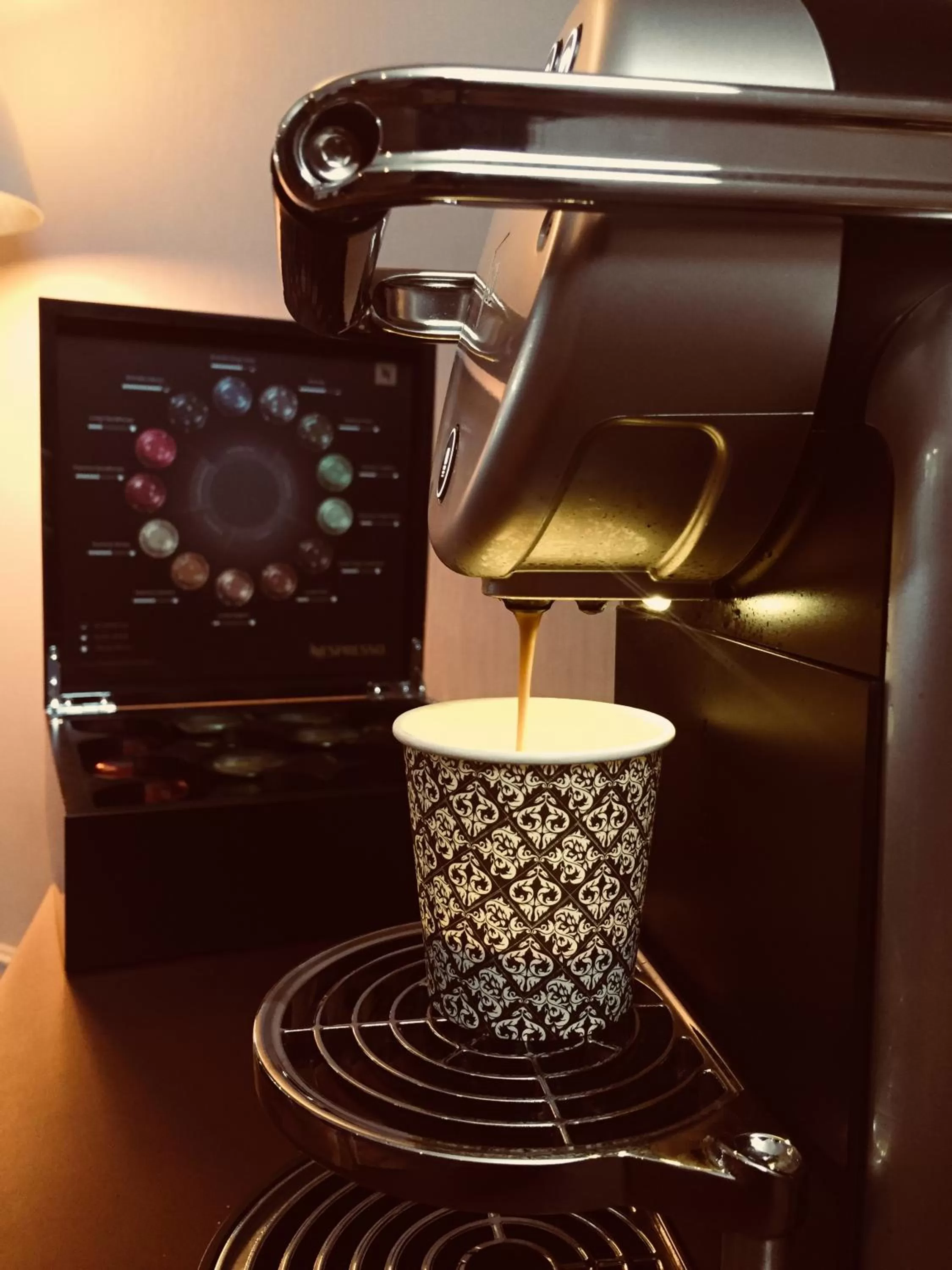 Area and facilities in Best Western Plus Richelieu