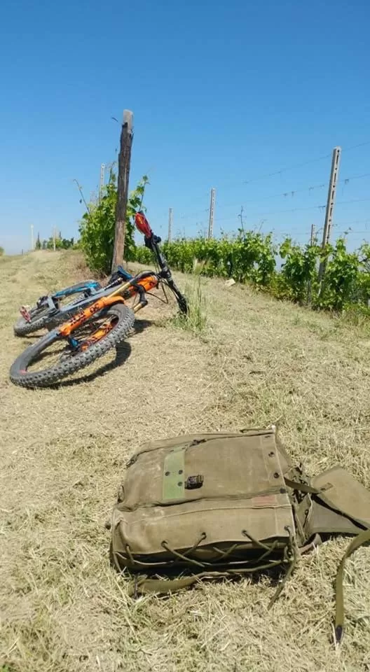 Activities in Hotel Monteverde