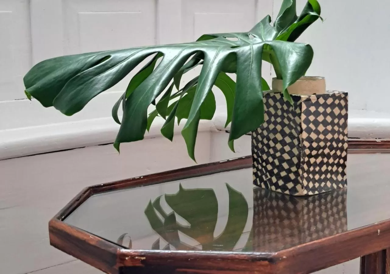 Decorative detail in Casa de las Flores - Hotel Boutique Lanzarote