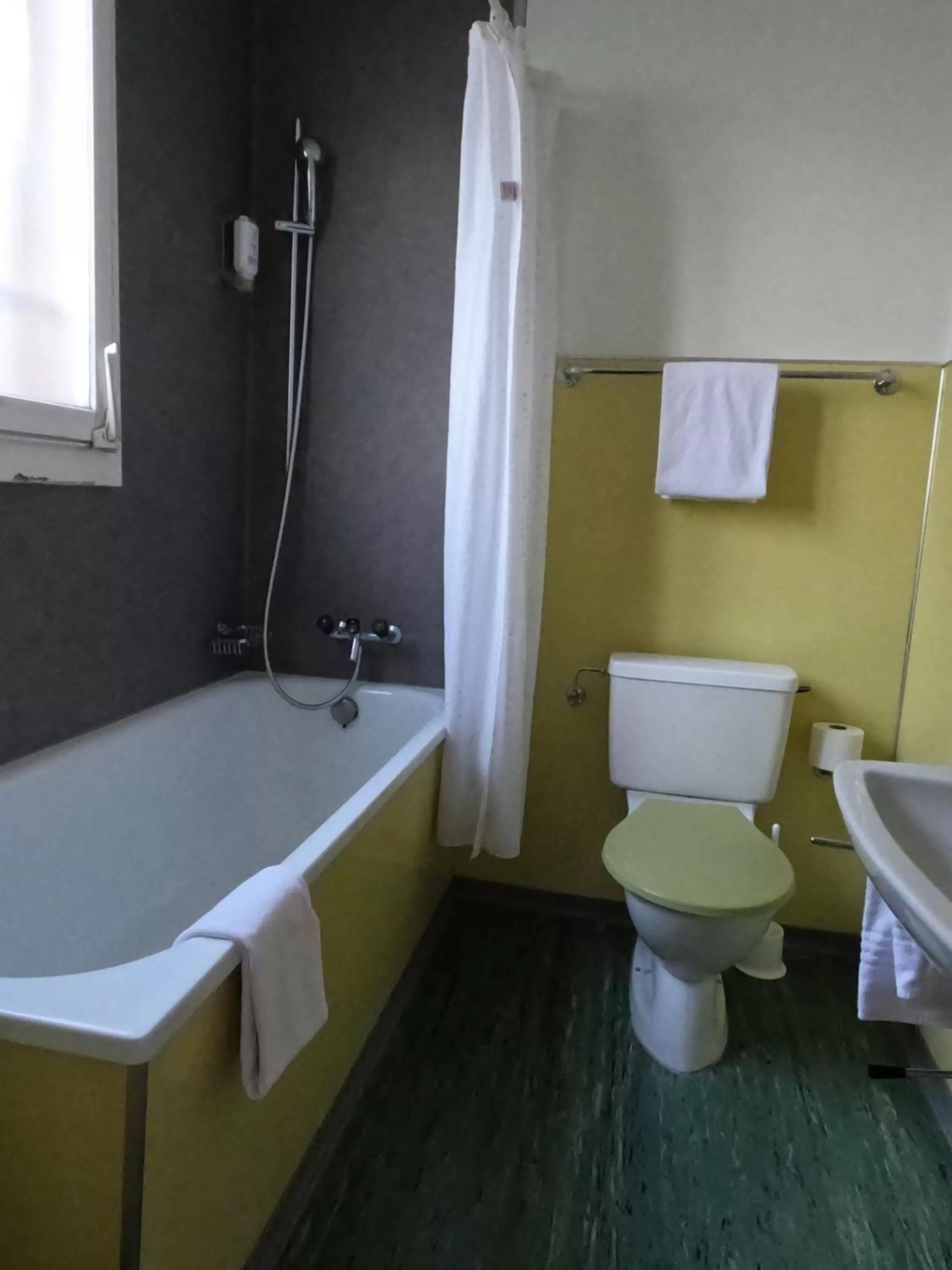 Bathroom in Alpenrose Hotel and Gardens