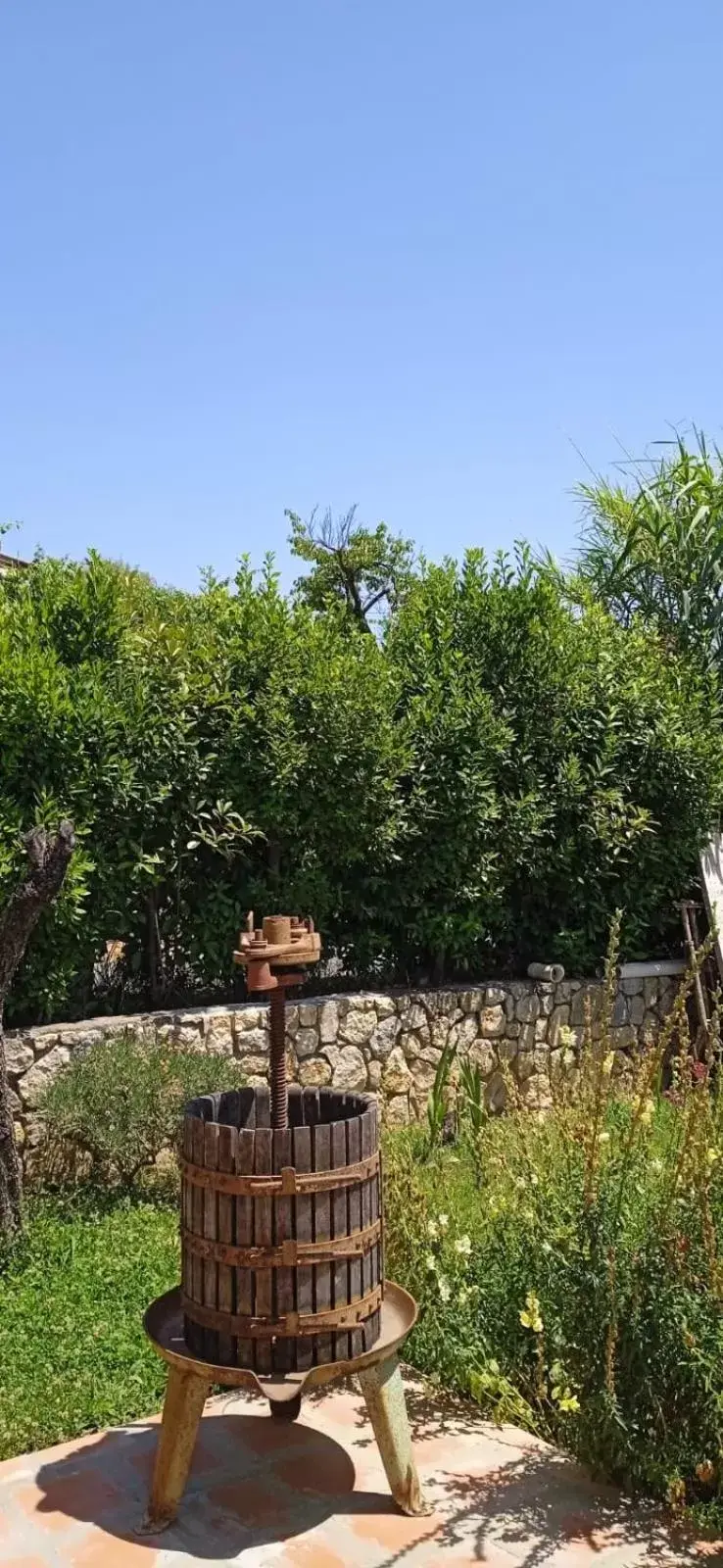 Garden in In Vino Veritas