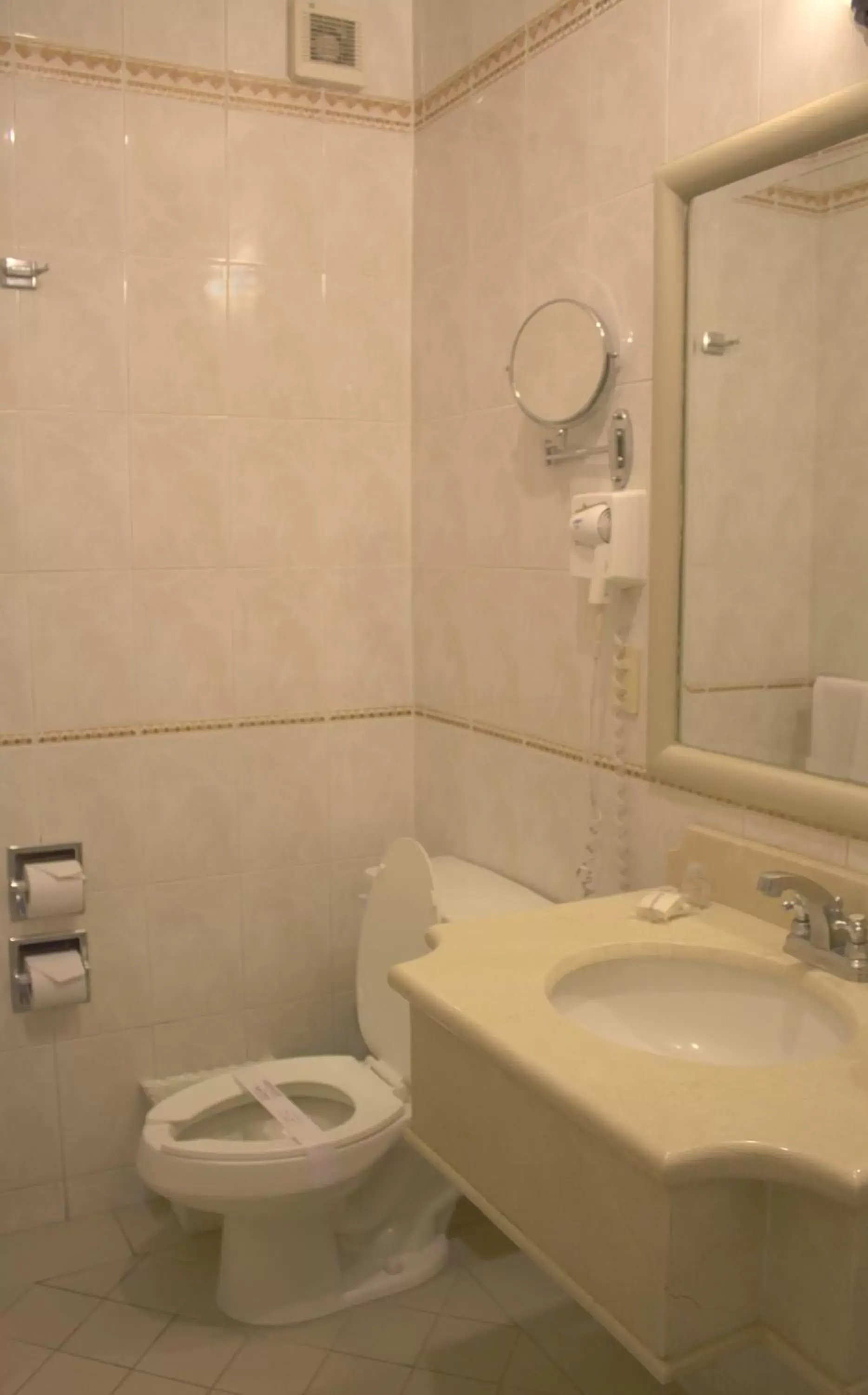 Bathroom in Hotel & Suites Quinta Magna