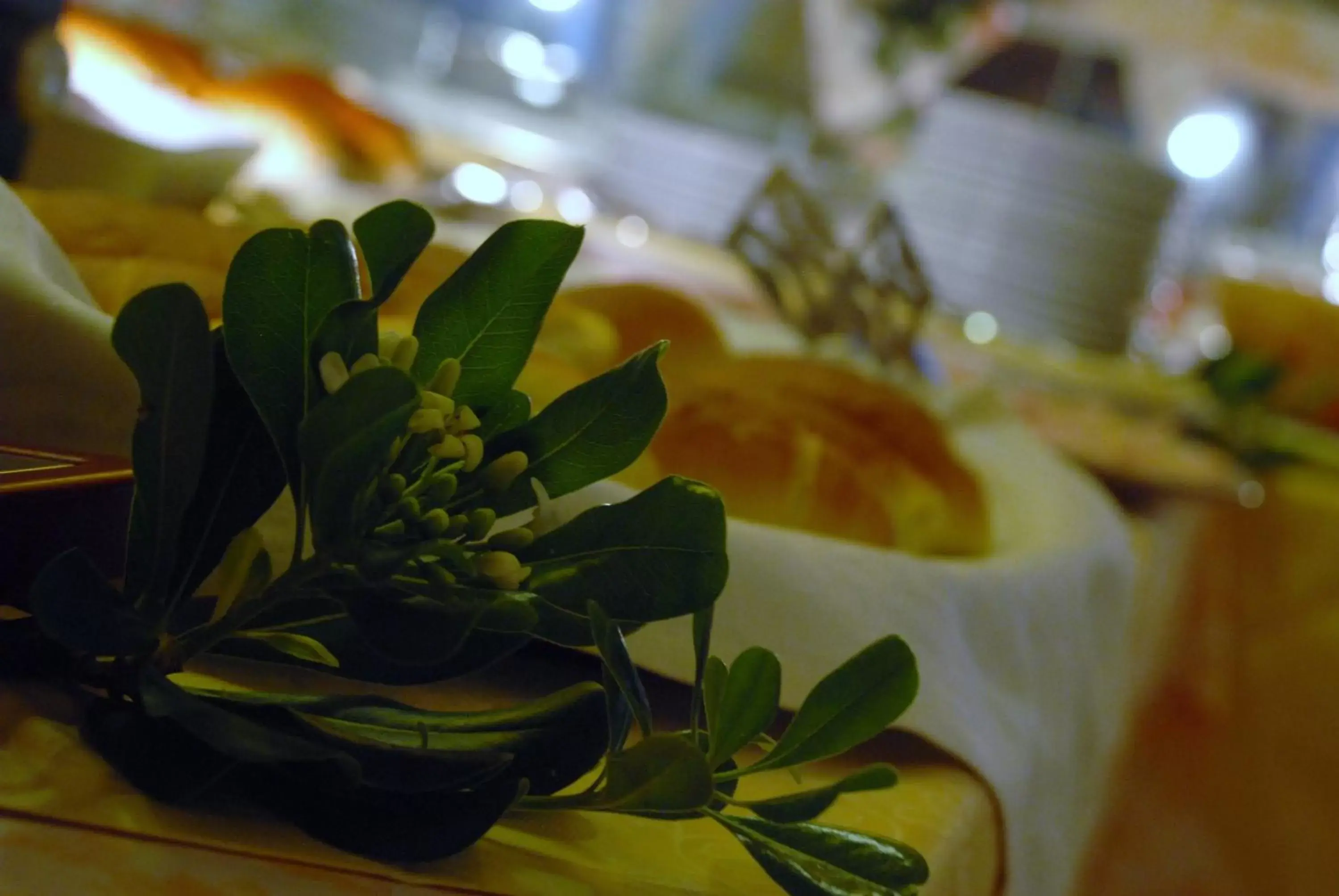 Decorative detail, Food in Hotel del Centro