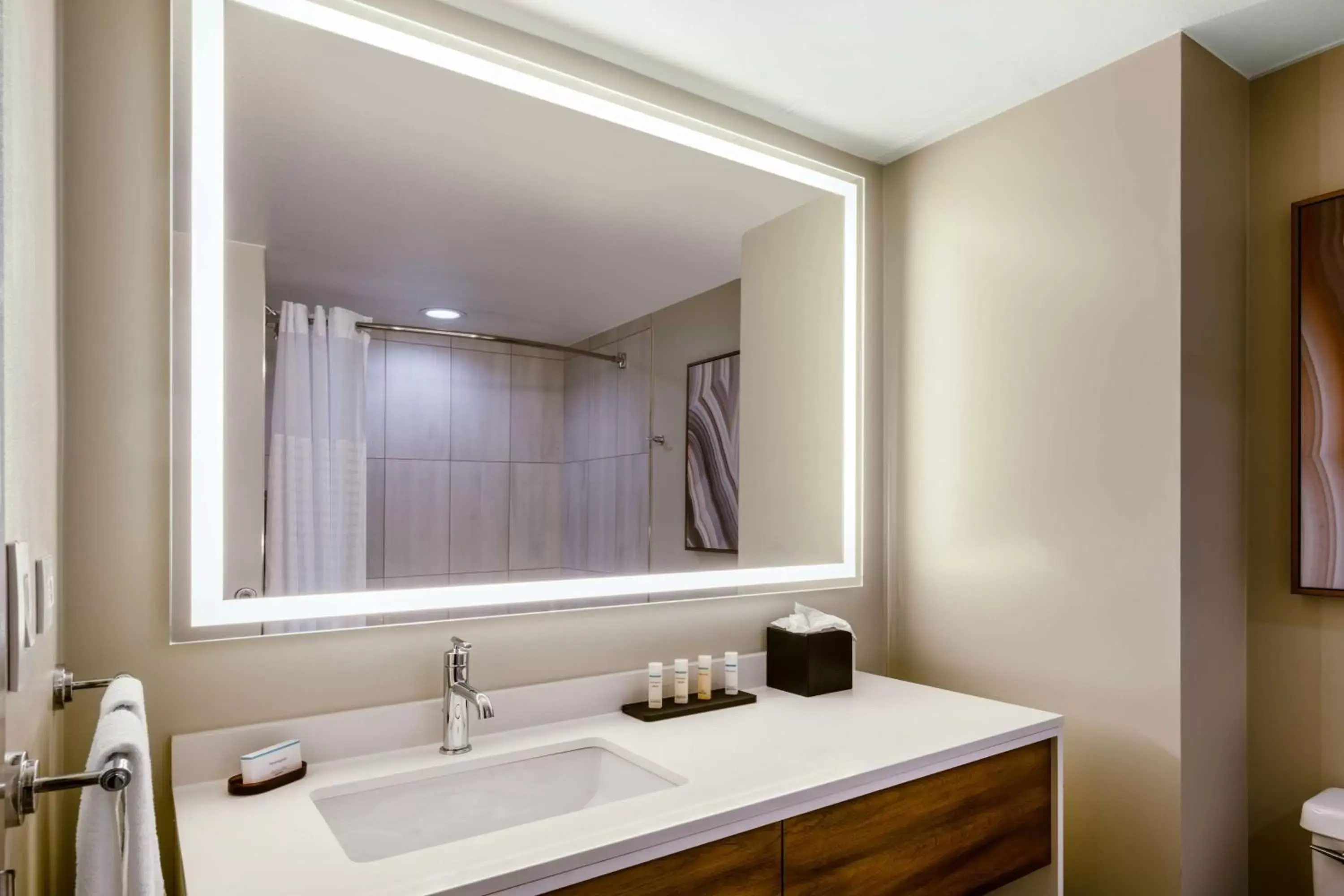 Bathroom in Embassy Suites by Hilton Albuquerque