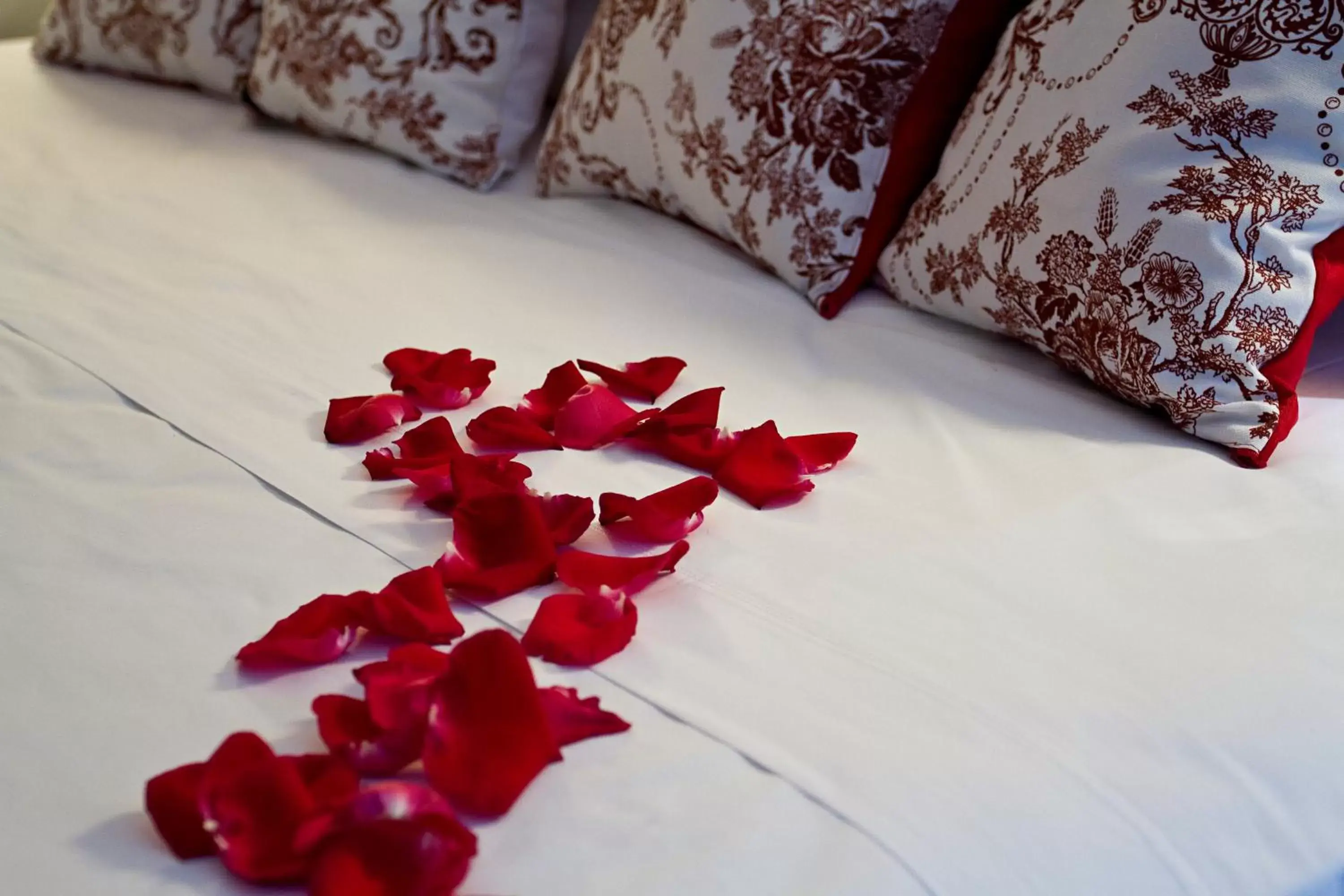 Bed in Ribera Sur Hotel