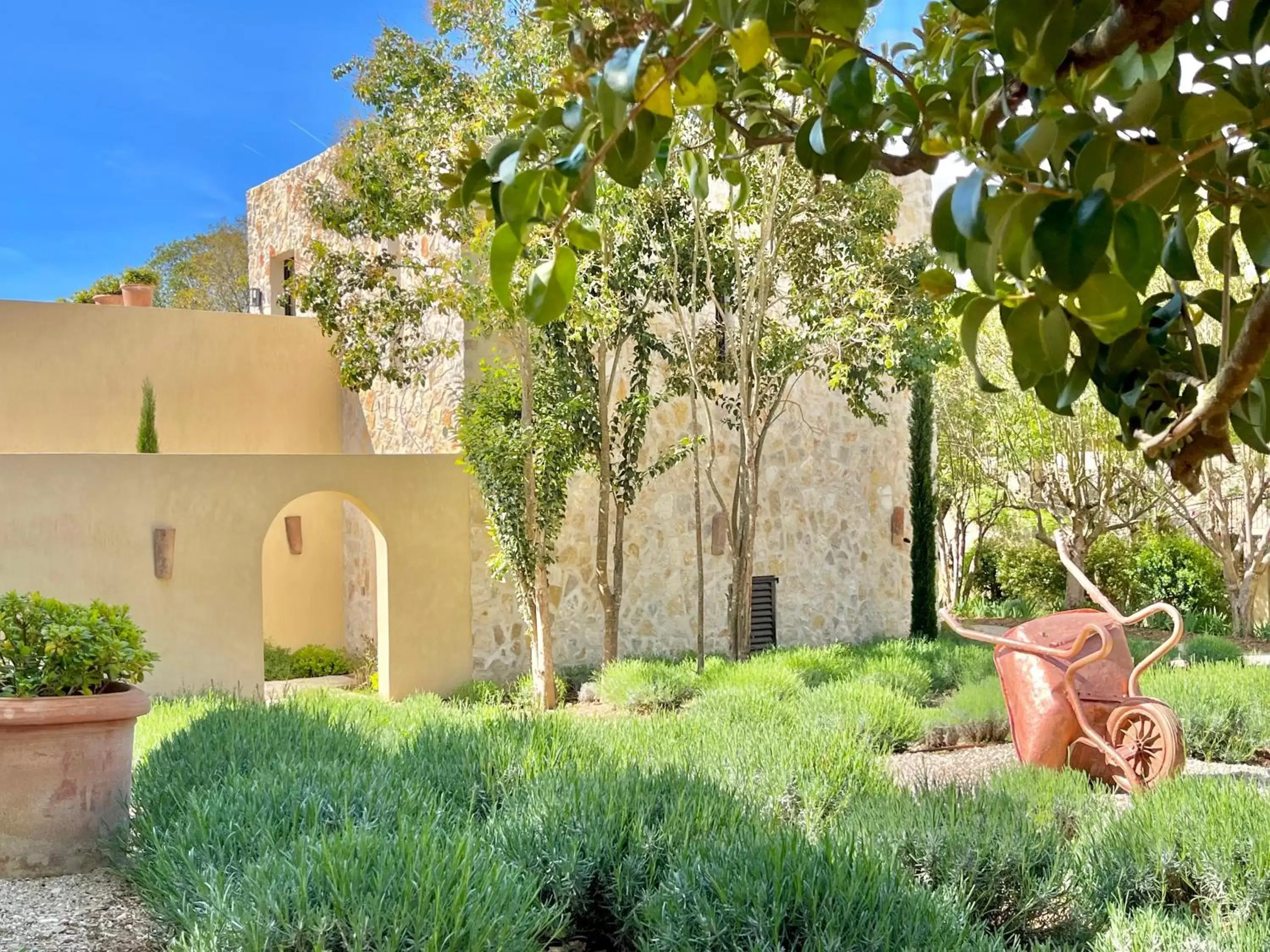 Garden in Toile Blanche