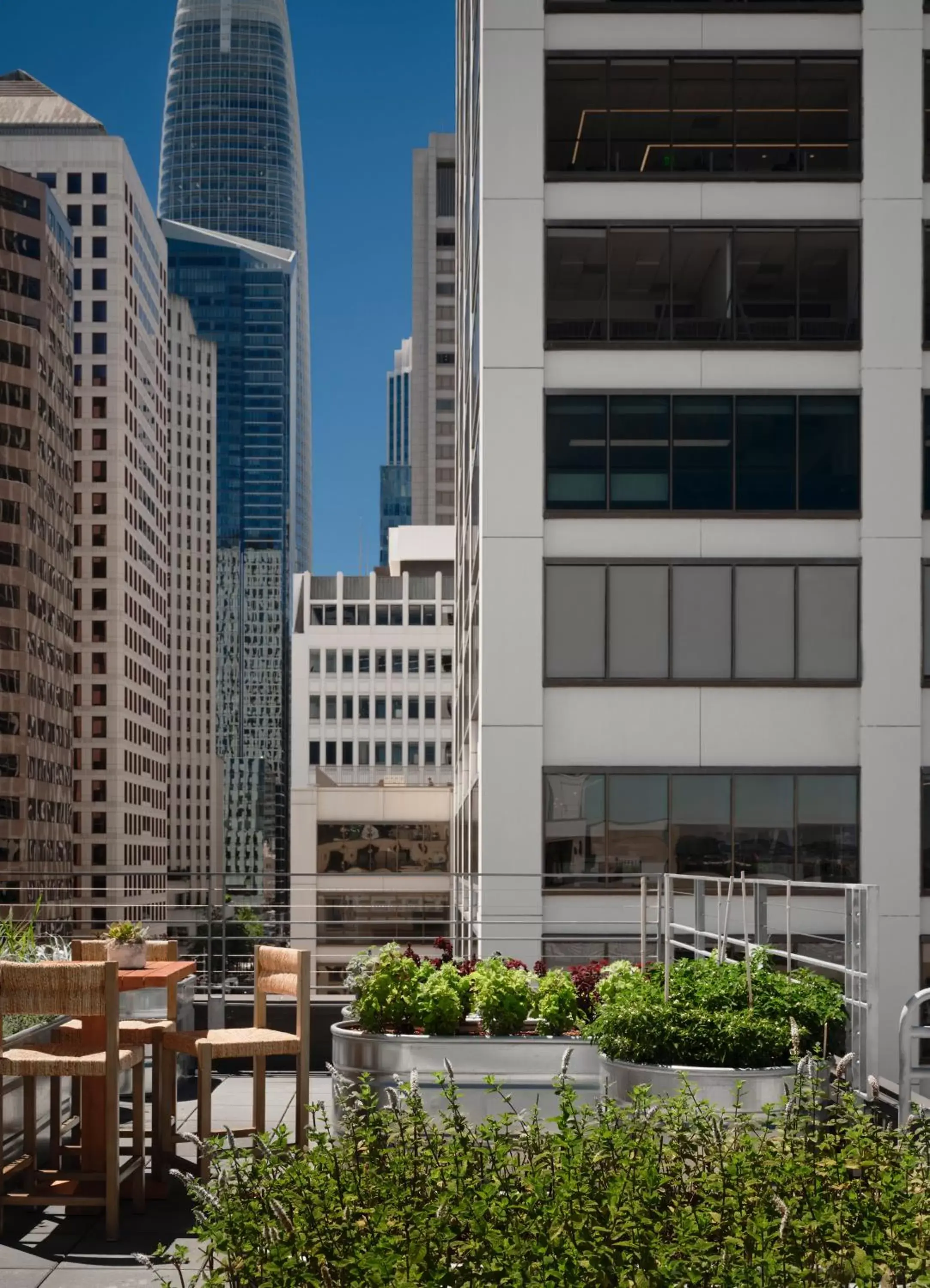 Garden, Property Building in 1 Hotel San Francisco