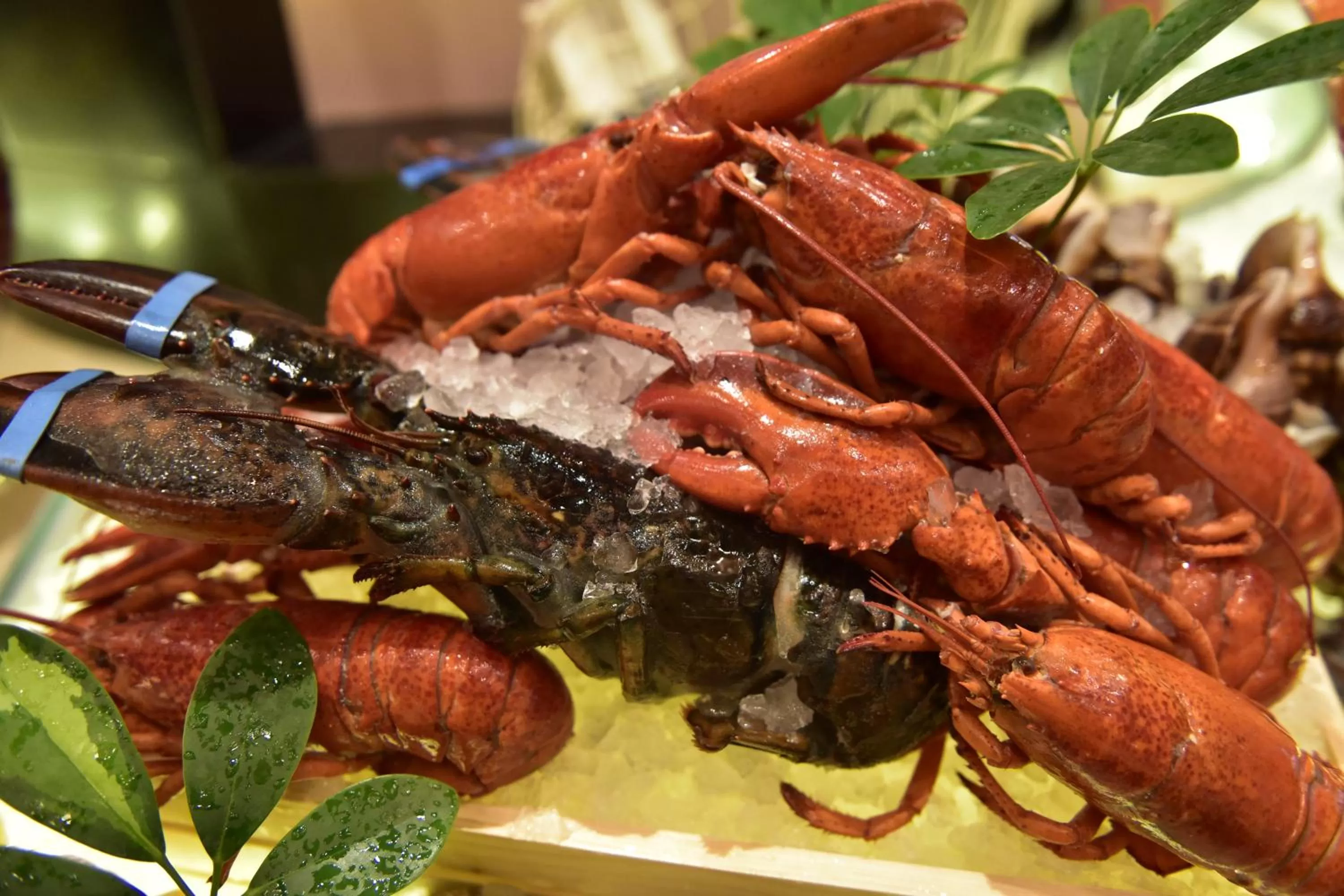 Meals in Crowne Plaza Shenzhen Futian, Near to Shenzhen Convention&Exhibition Centre, Shenzhen Stock Exchange and Shenzhen Civic Center, Outdoor Heated Pool