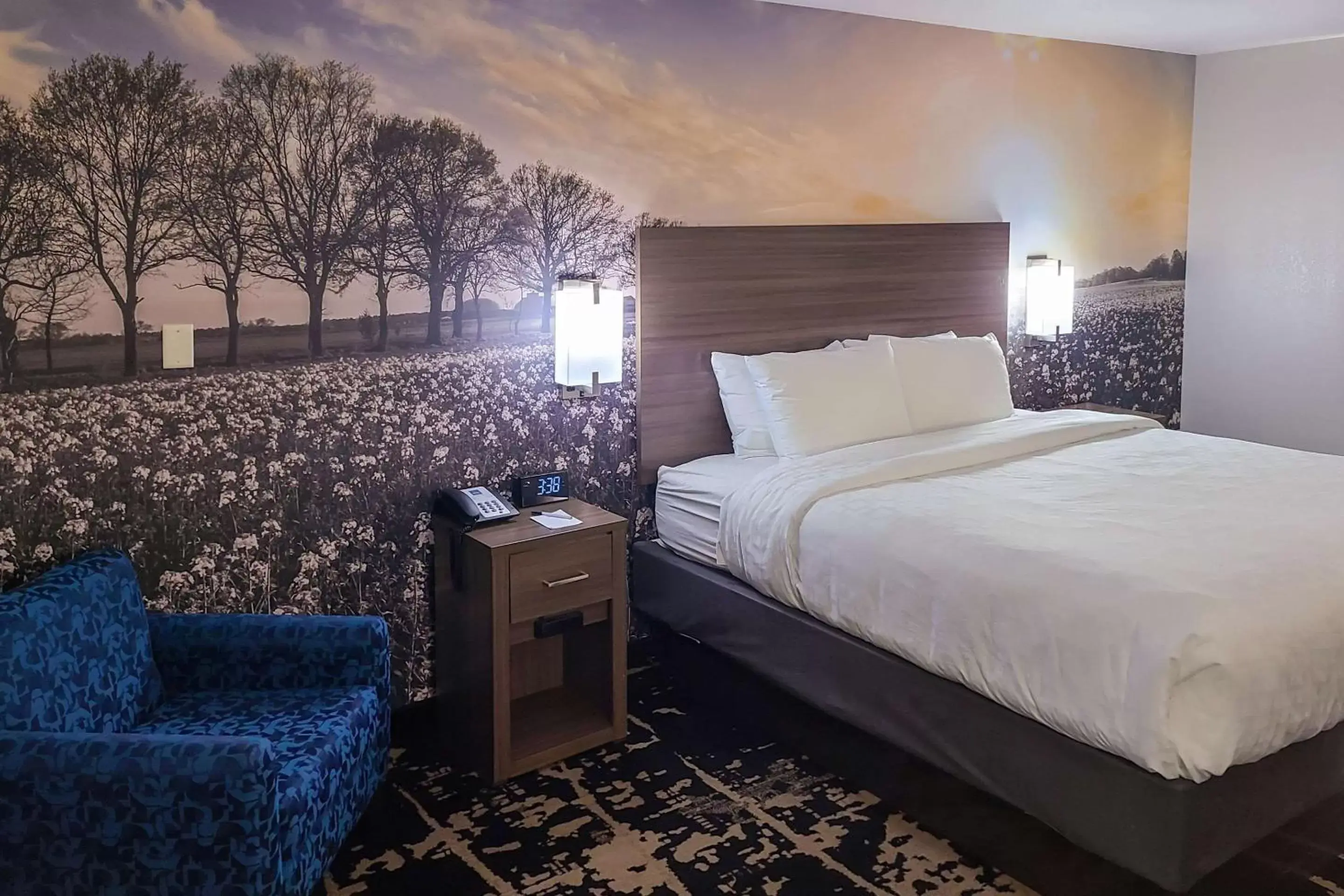 Photo of the whole room, Bed in Clarion Pointe Bettendorf - Quad Cities