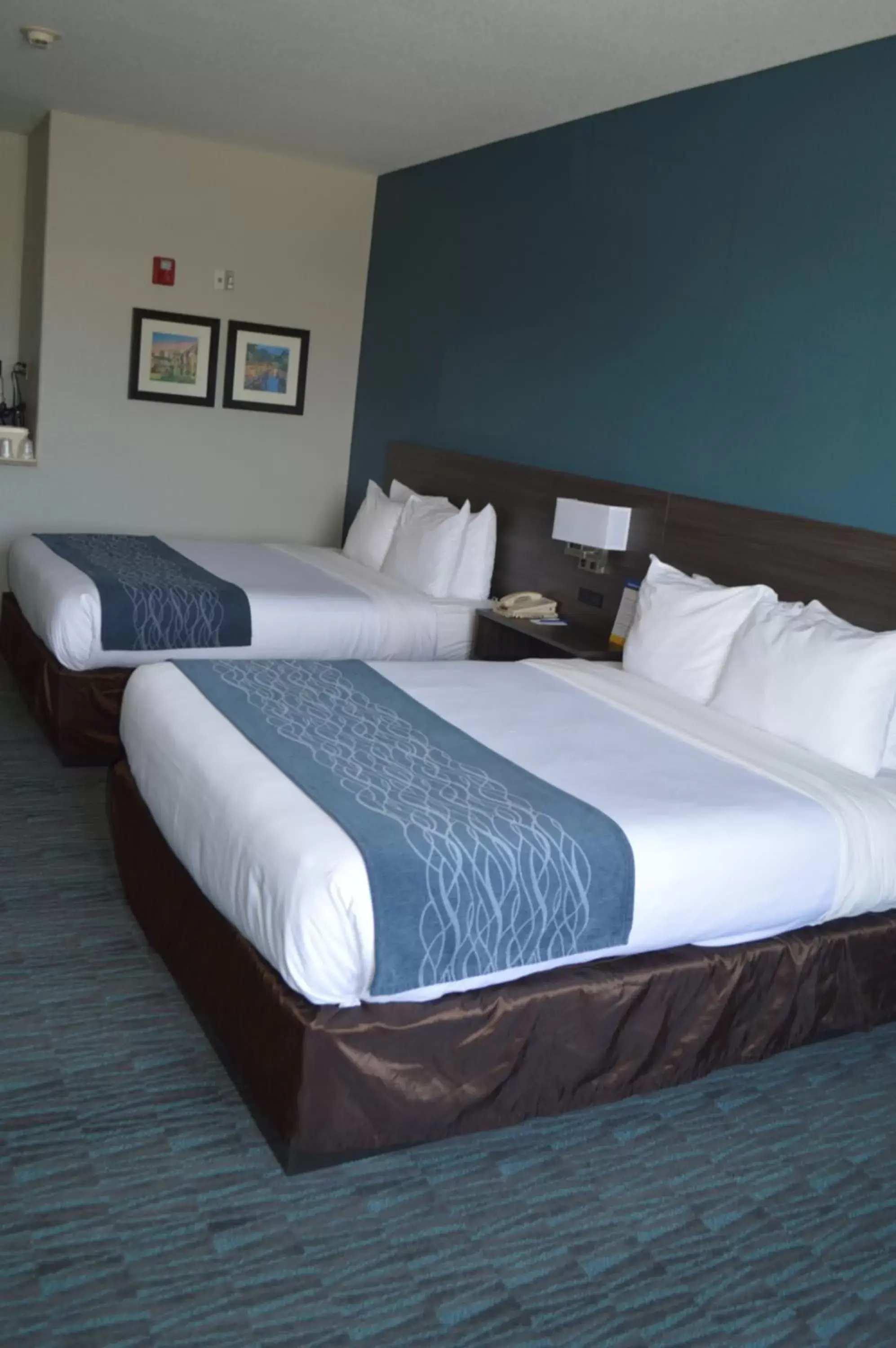 Bedroom, Bed in Comfort Inn & Suites Selma near Randolph AFB