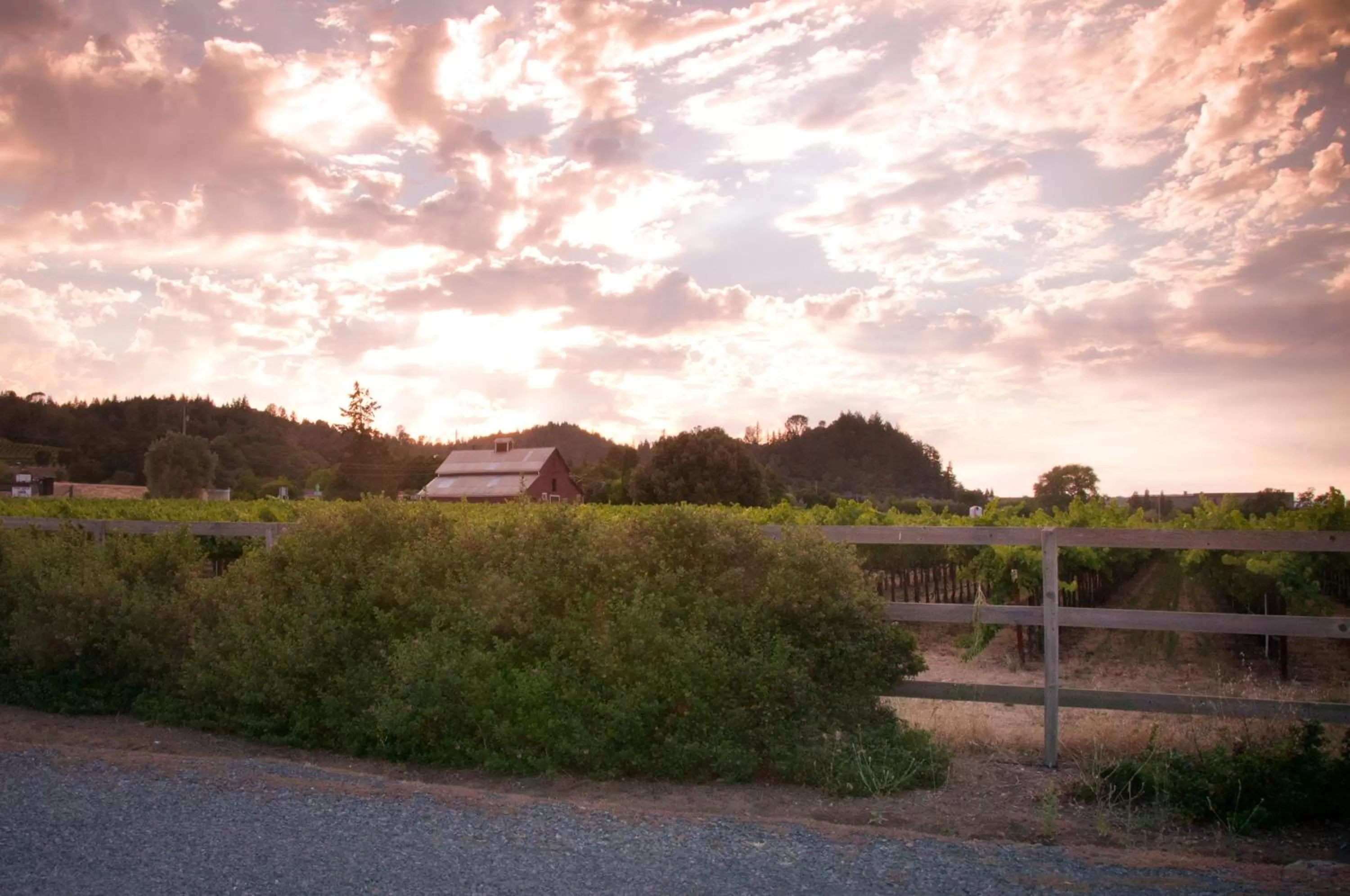Area and facilities in Geyserville Inn