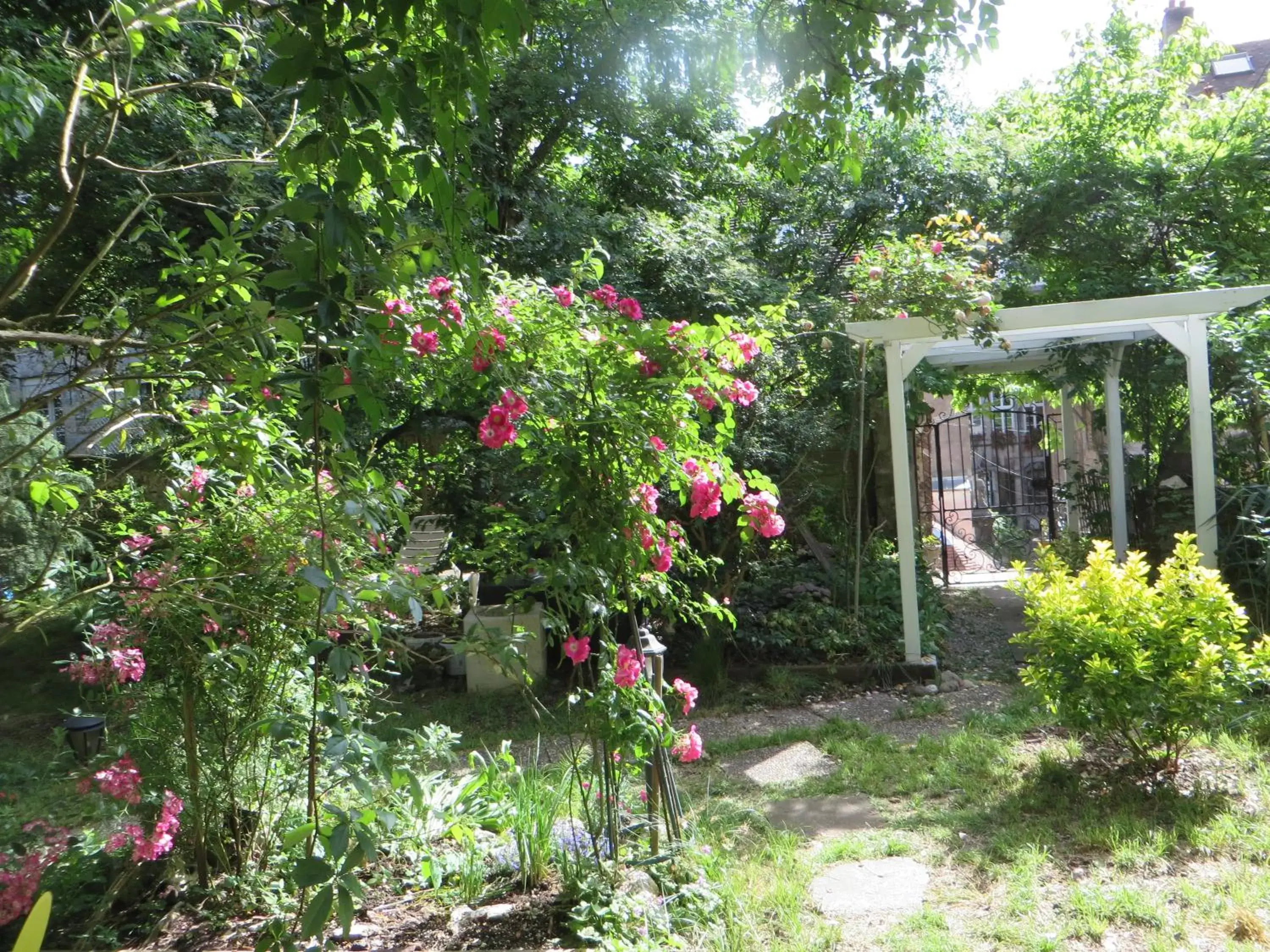 Garden in Hotel Régina