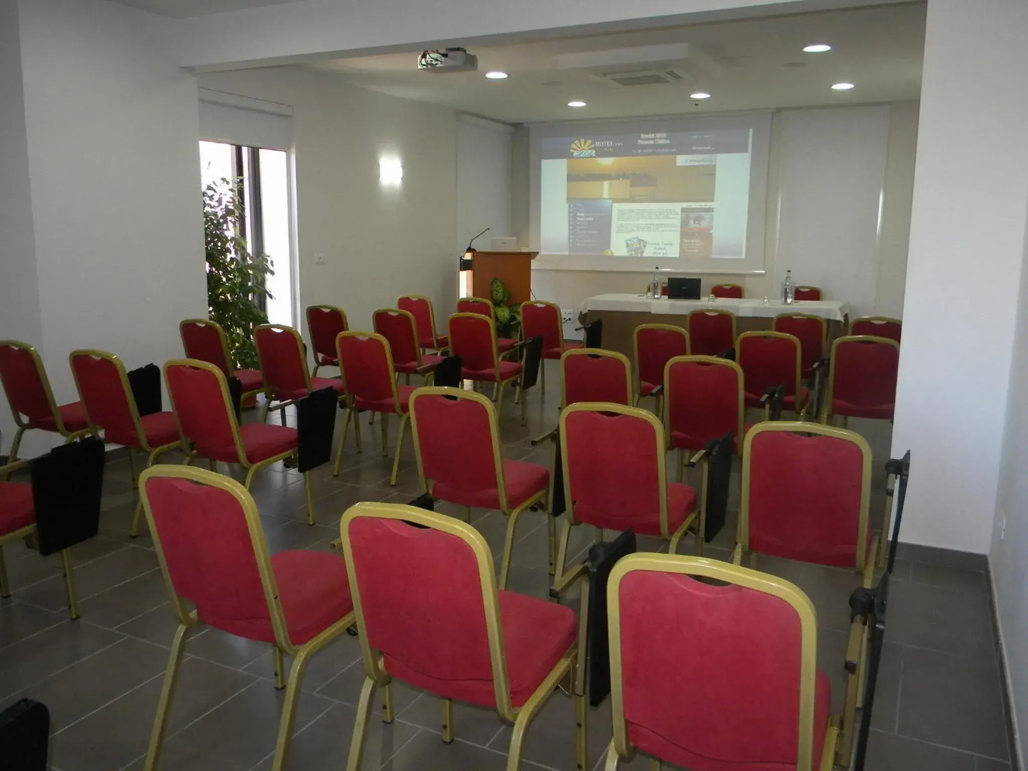 Business facilities in Hotel Sole