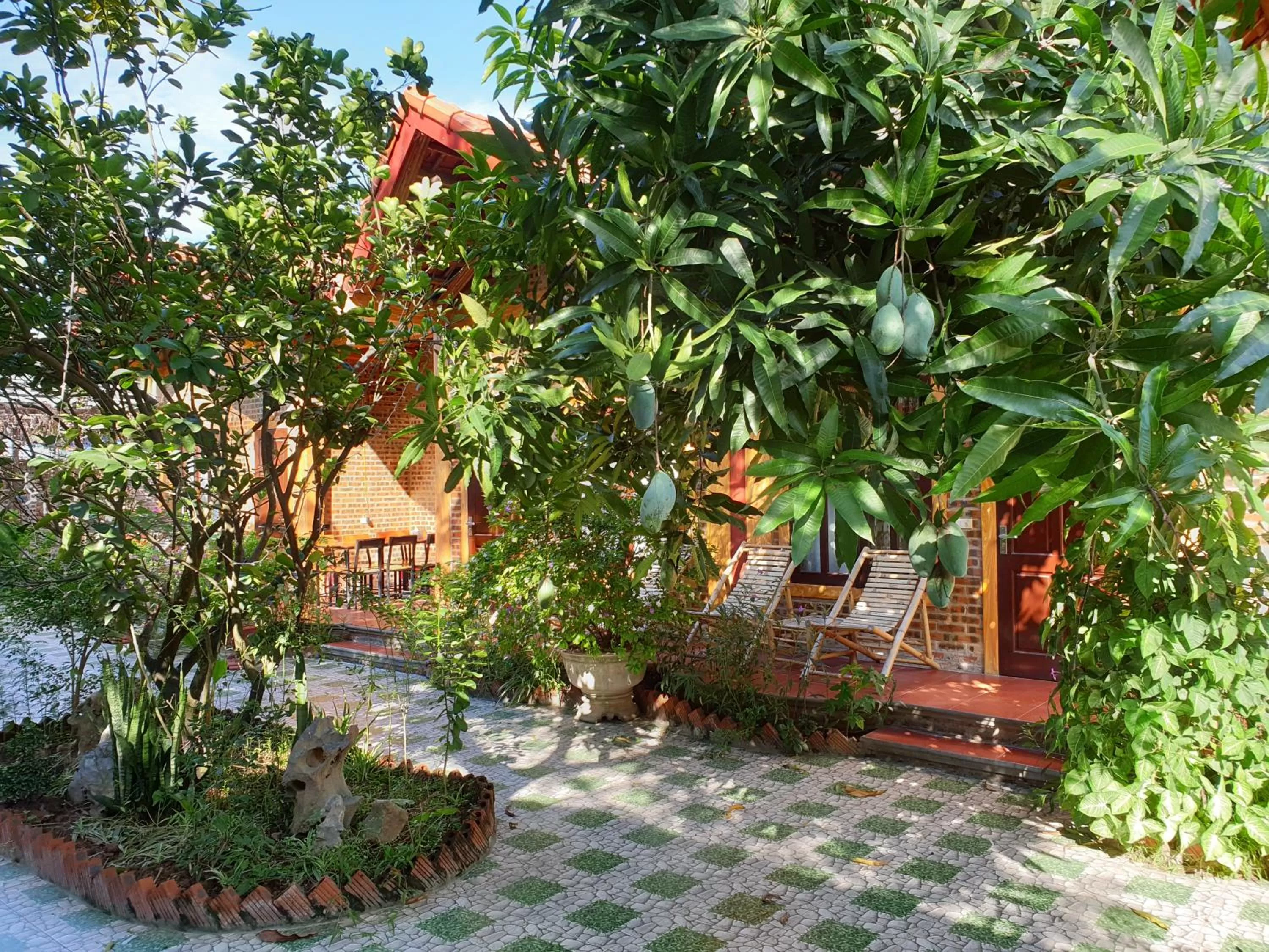 Garden view in Tam Coc Vinh Thinh Homestay