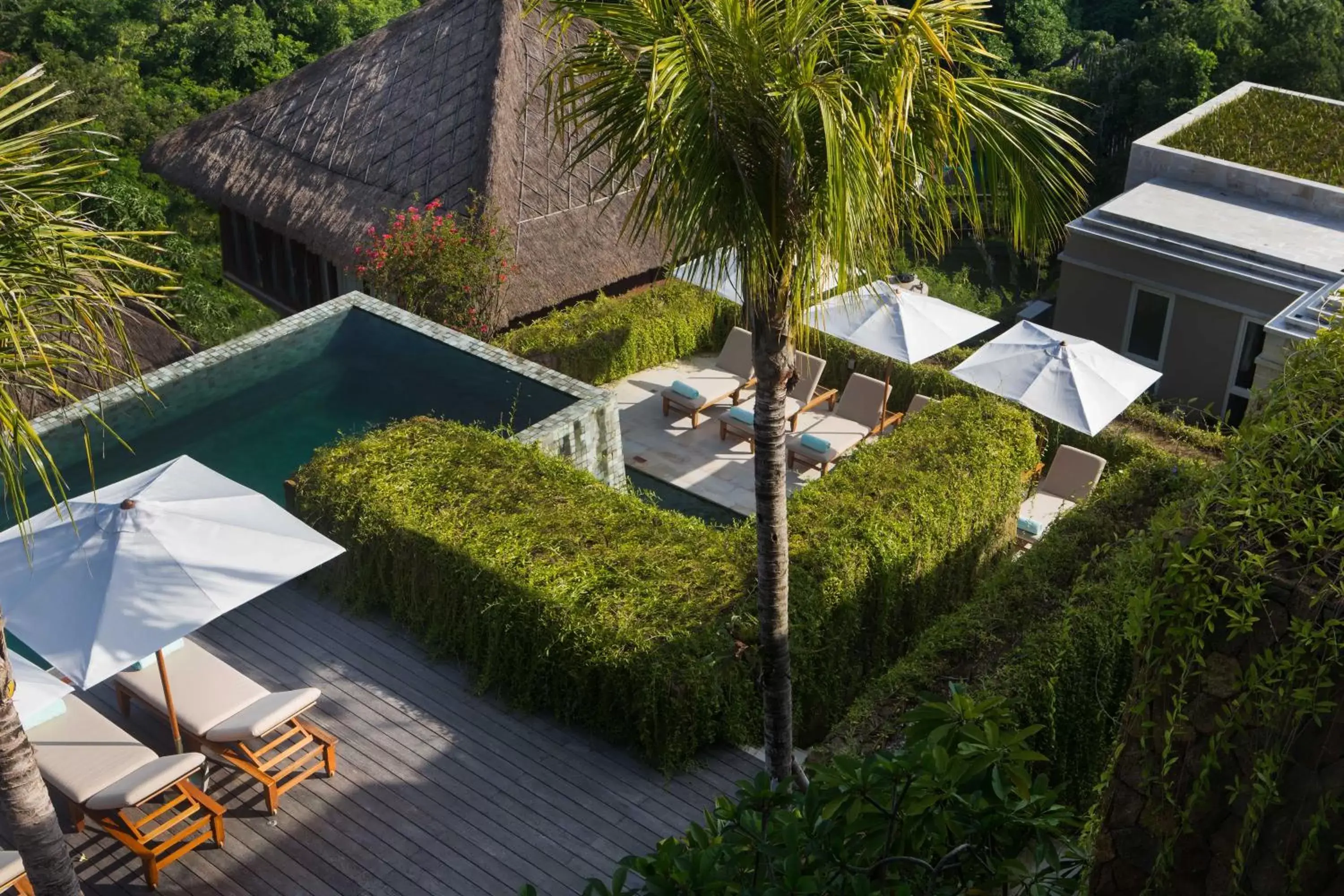 Swimming pool, Pool View in The Tamarind Resort - Nusa Lembongan
