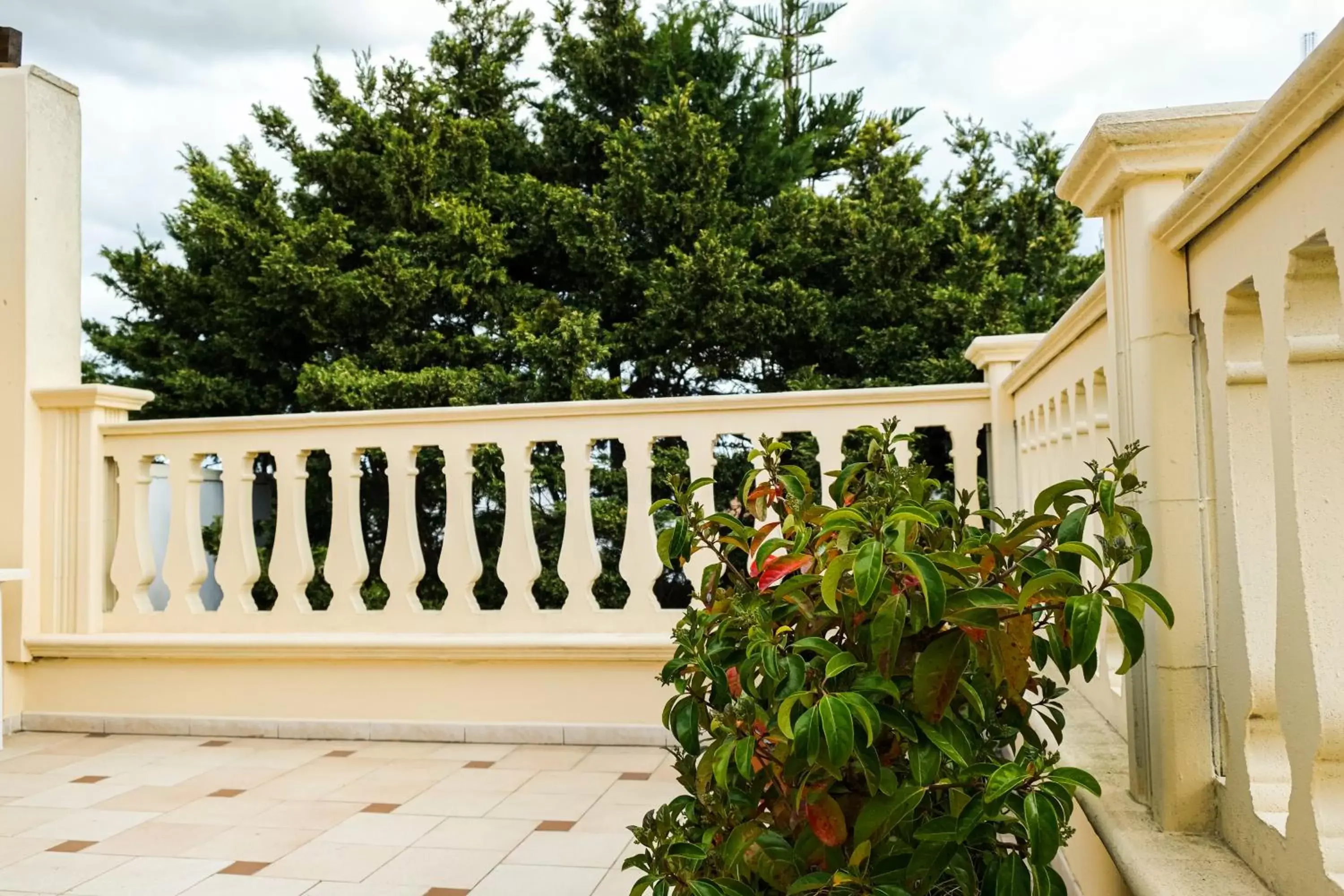 Balcony/Terrace in Olimpo B&B