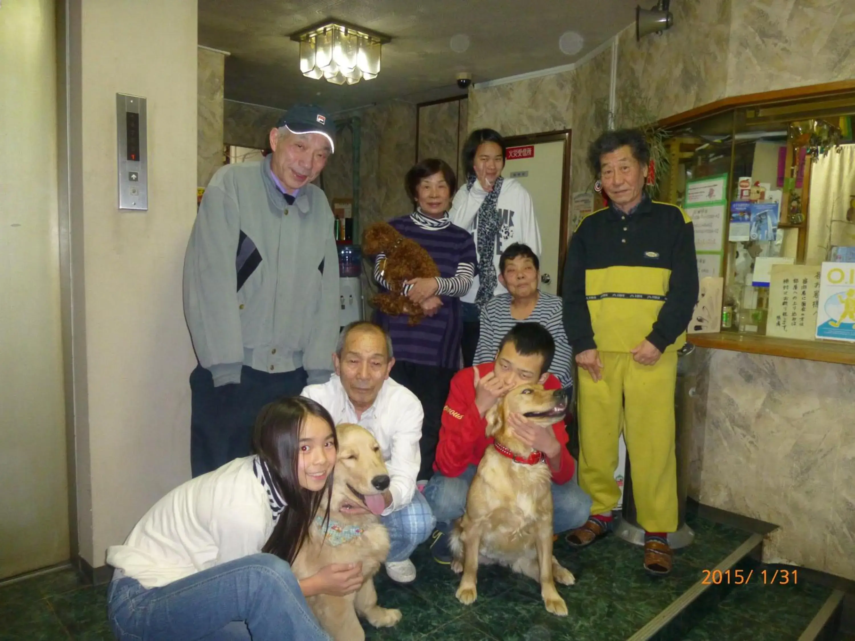 Pets, Family in Hotel Diamond