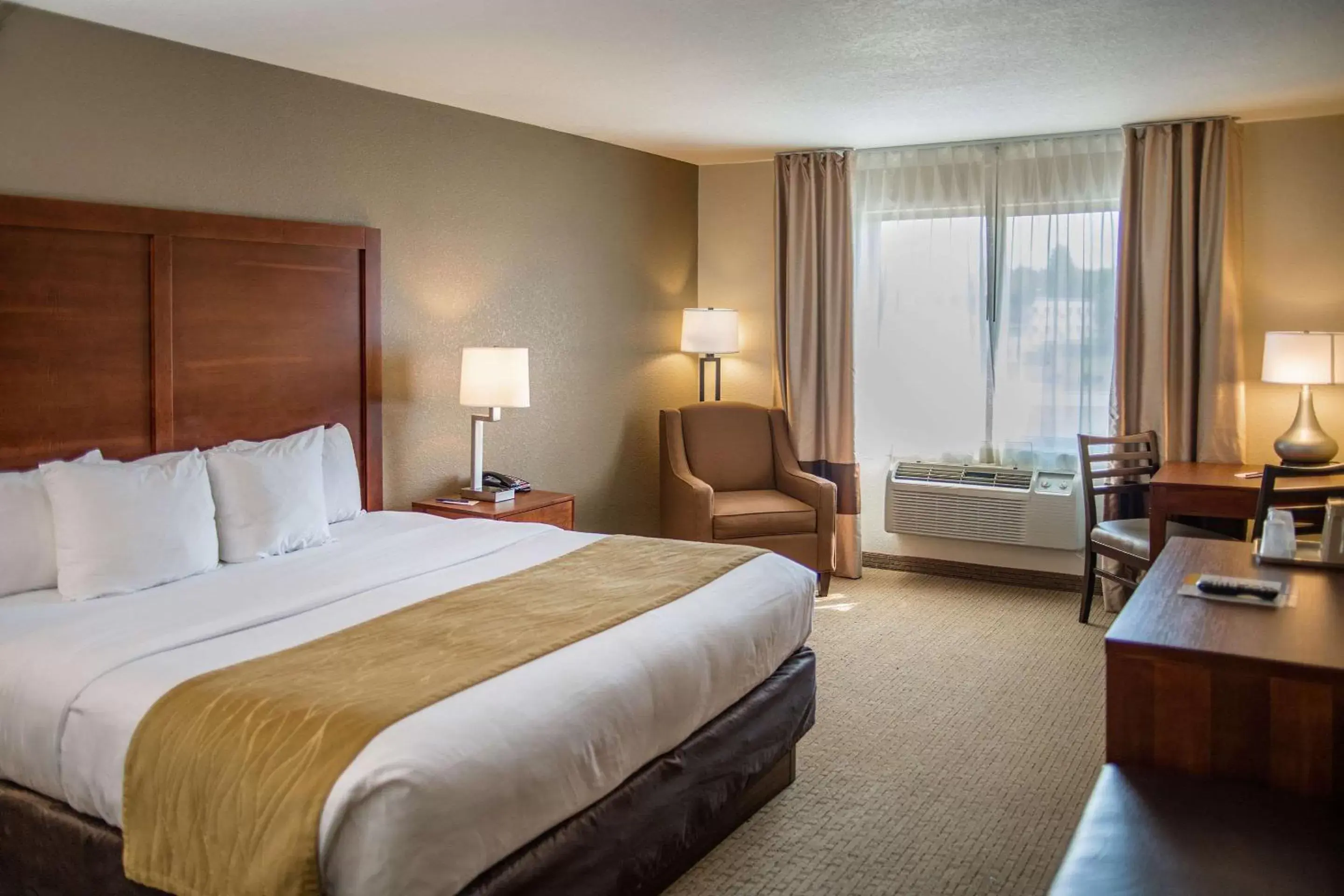 Photo of the whole room in Comfort Inn & Suites Near Custer State Park and Mt Rushmore