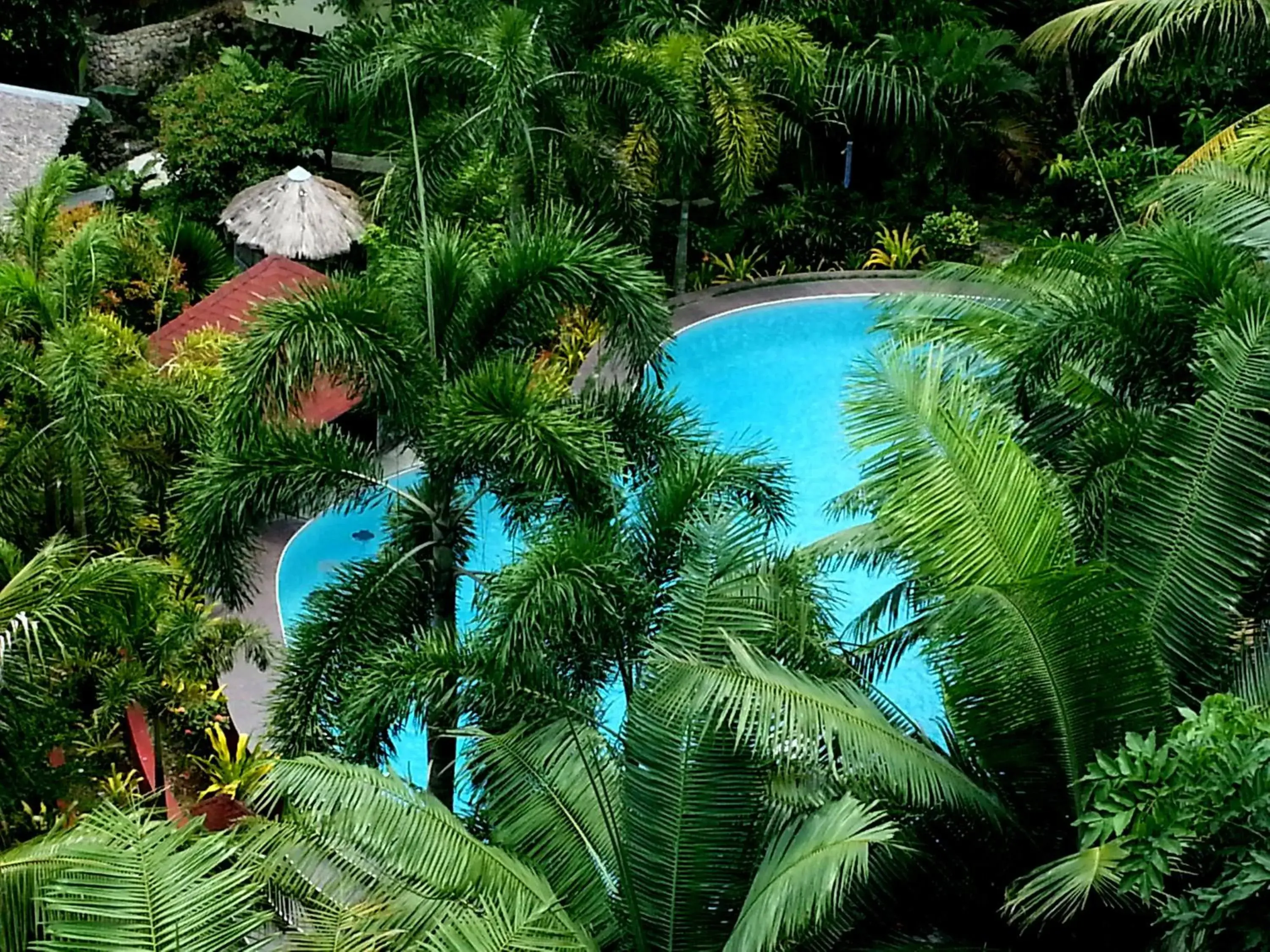 Day, Pool View in Hof Gorei Beach Resort Davao