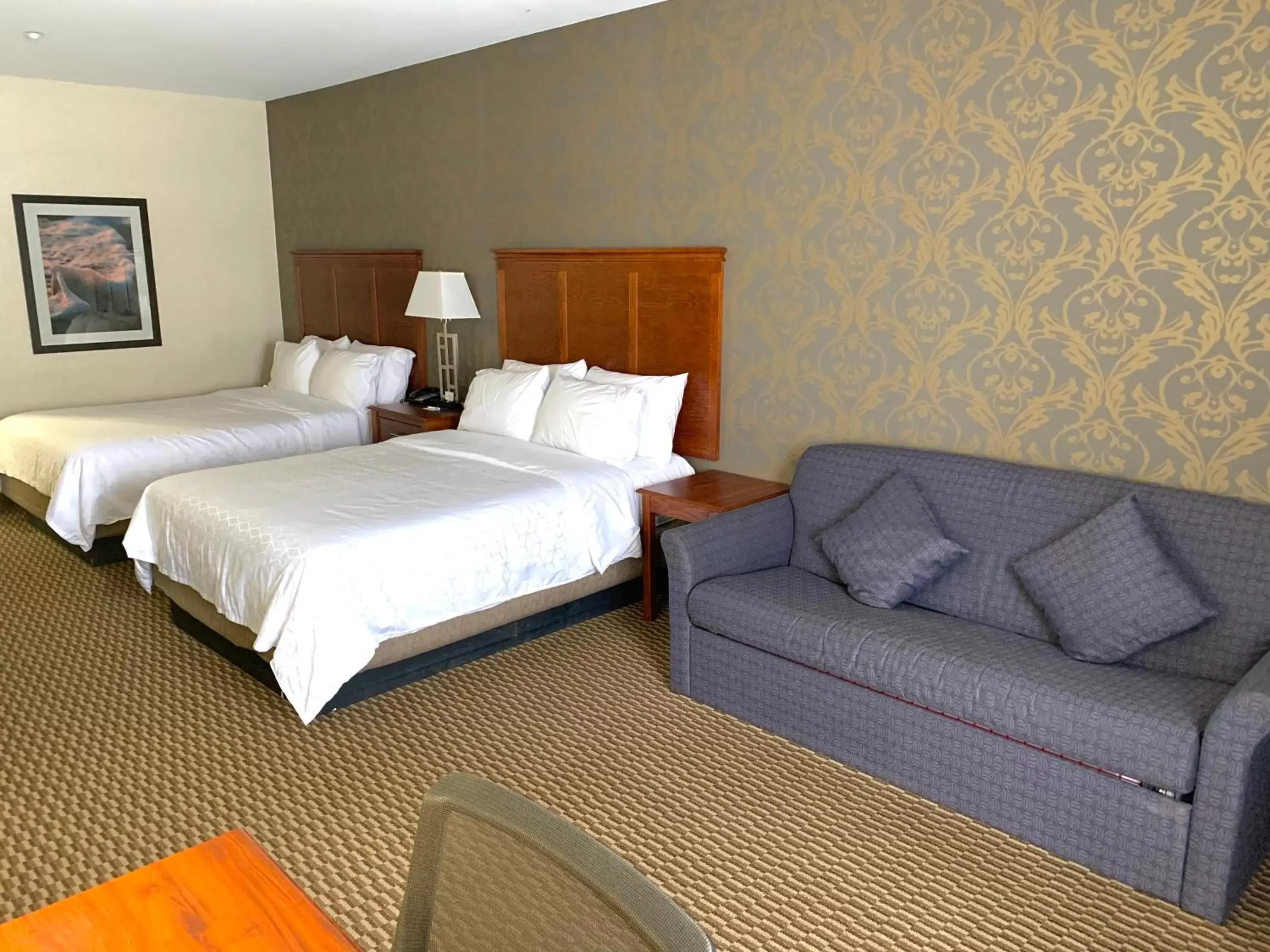Photo of the whole room, Bed in Holiday Inn Express Holland, an IHG Hotel