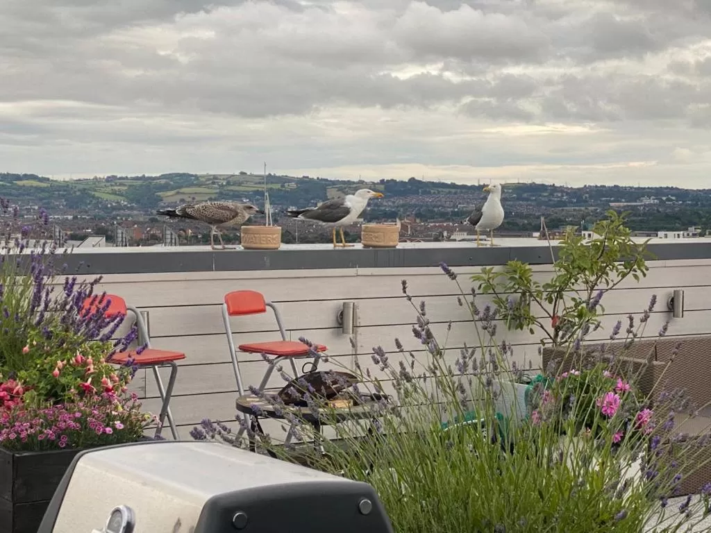 James Clow Bed & Breakfast