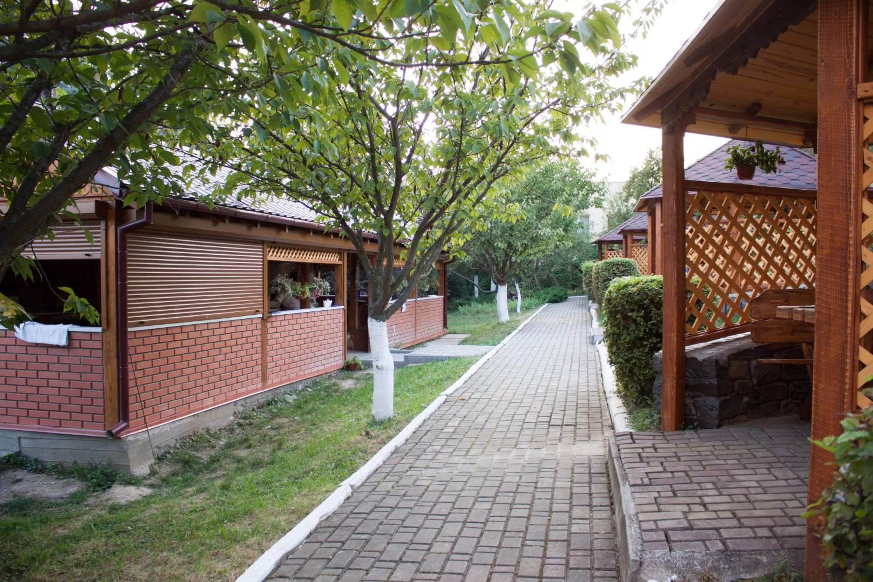Balcony/Terrace in Chervona Gora
