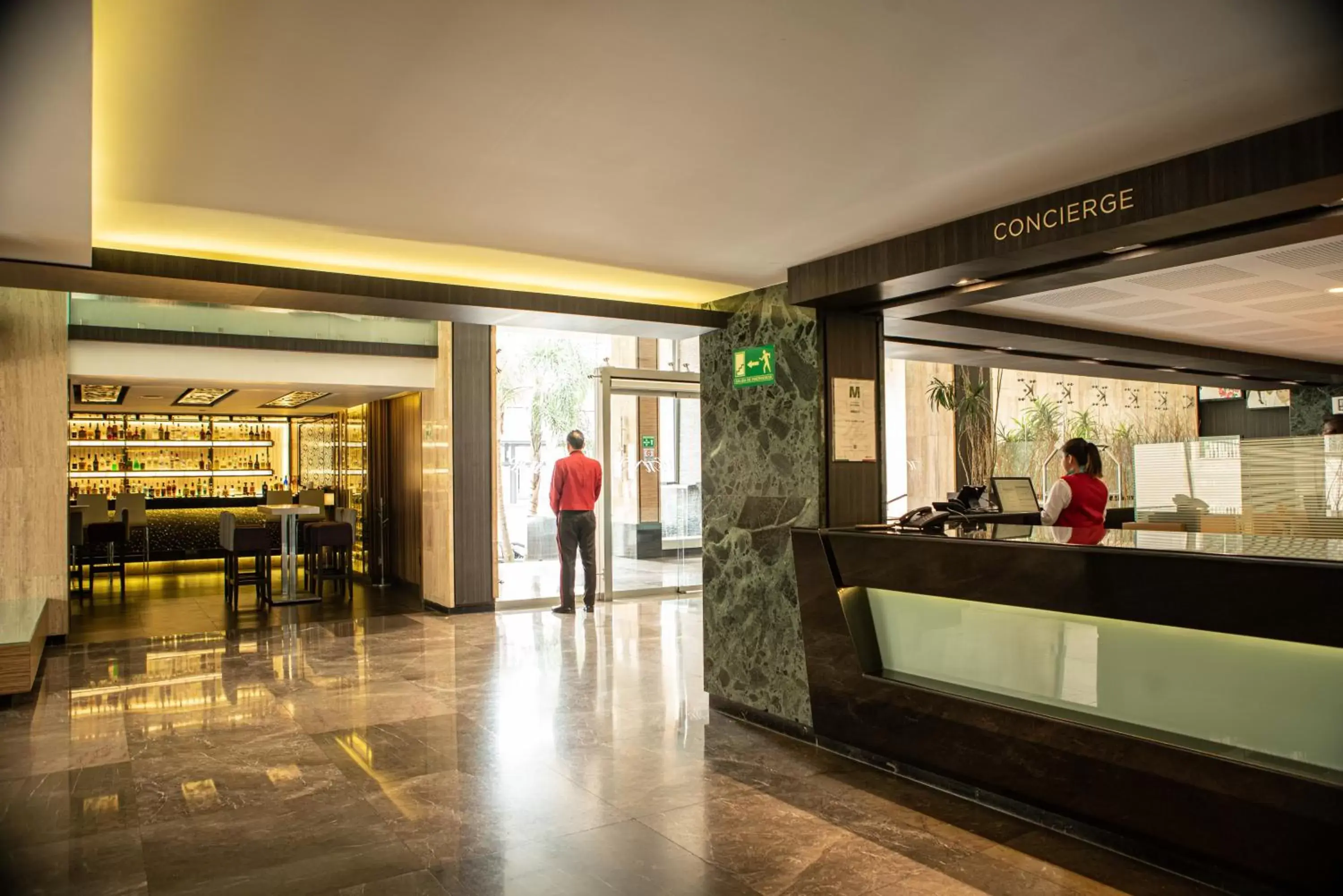 Facade/entrance, Lobby/Reception in Hotel Marbella