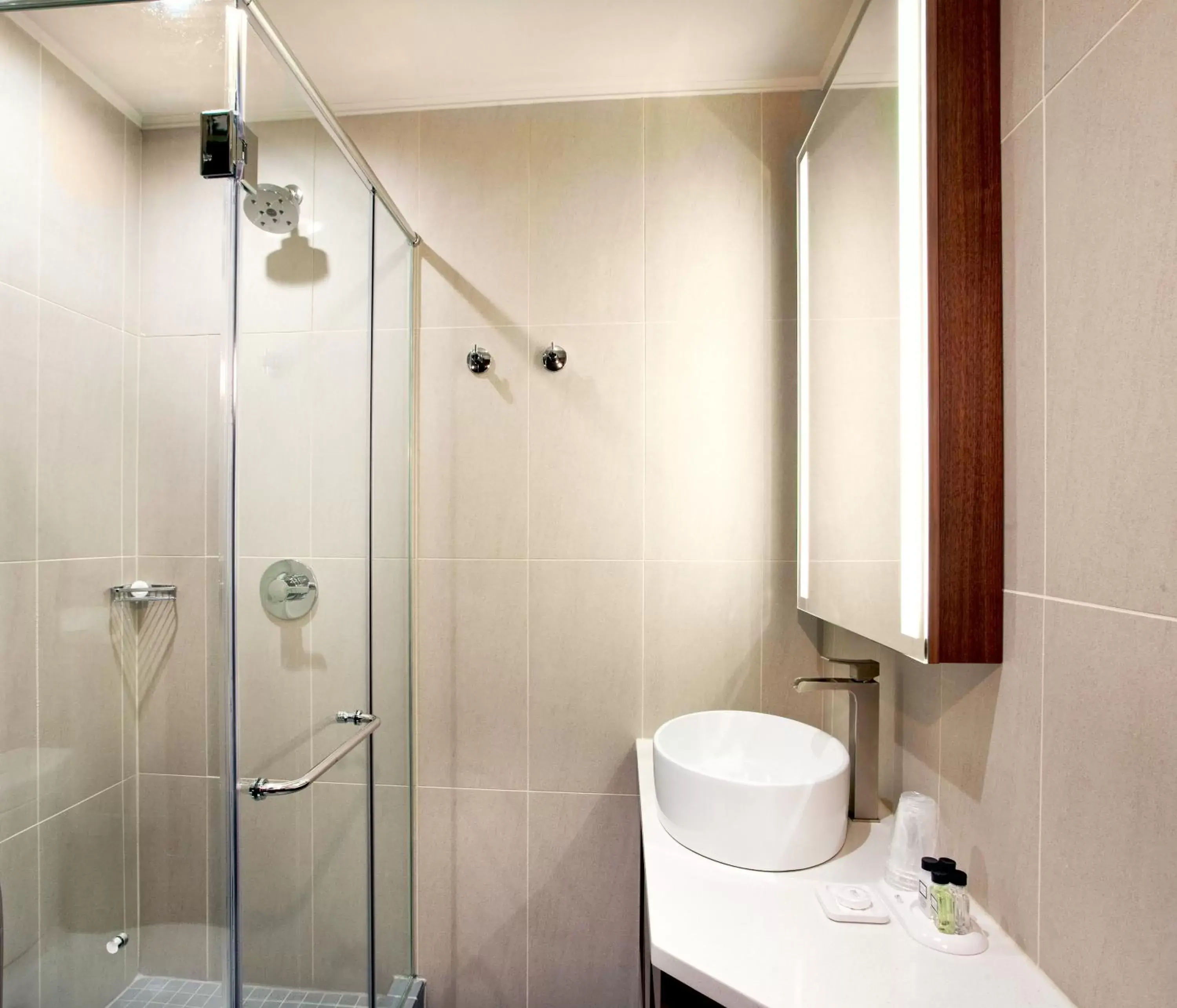 Shower, Bathroom in Porter Square Hotel