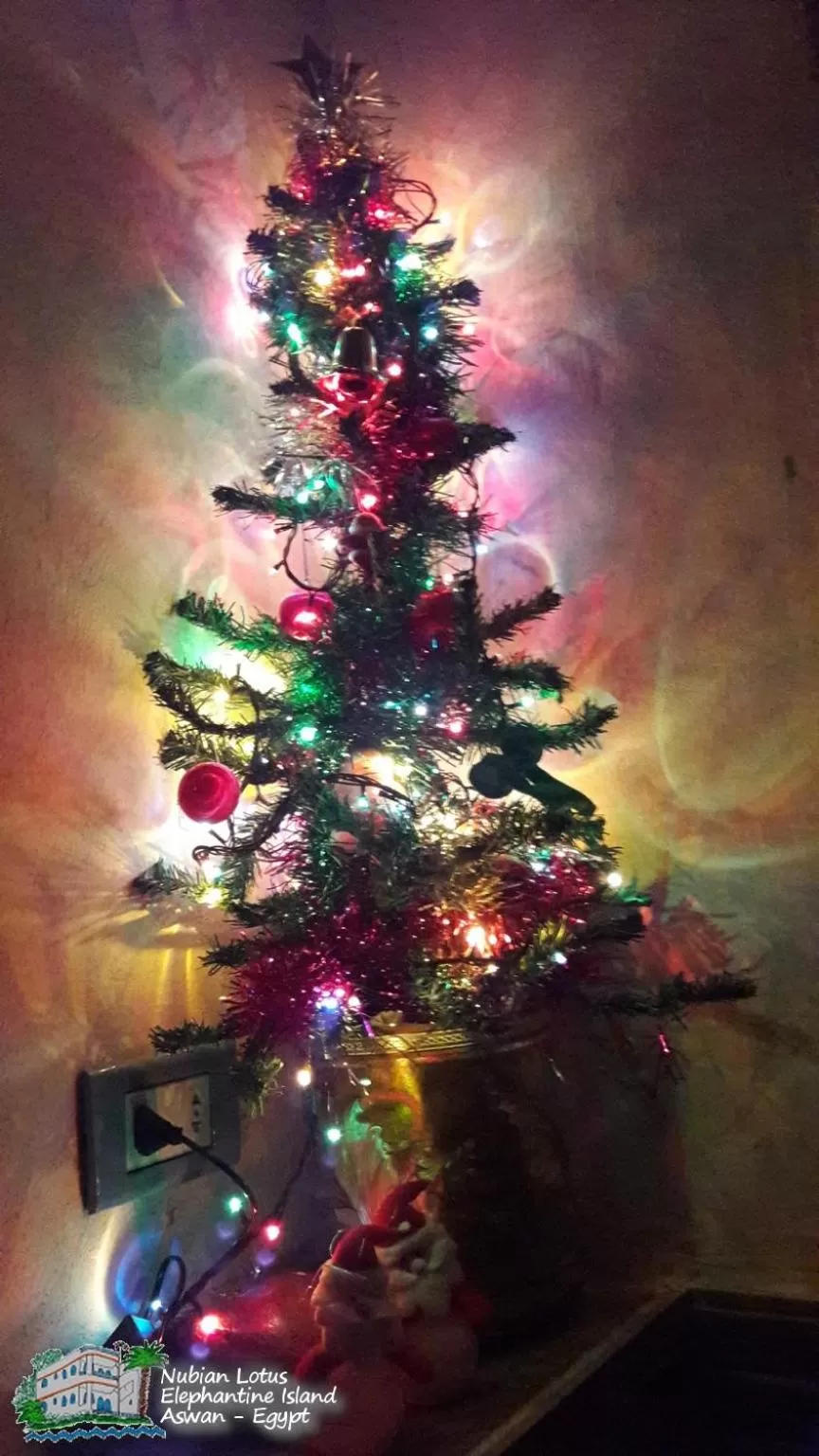 Property building in Nubian Lotus