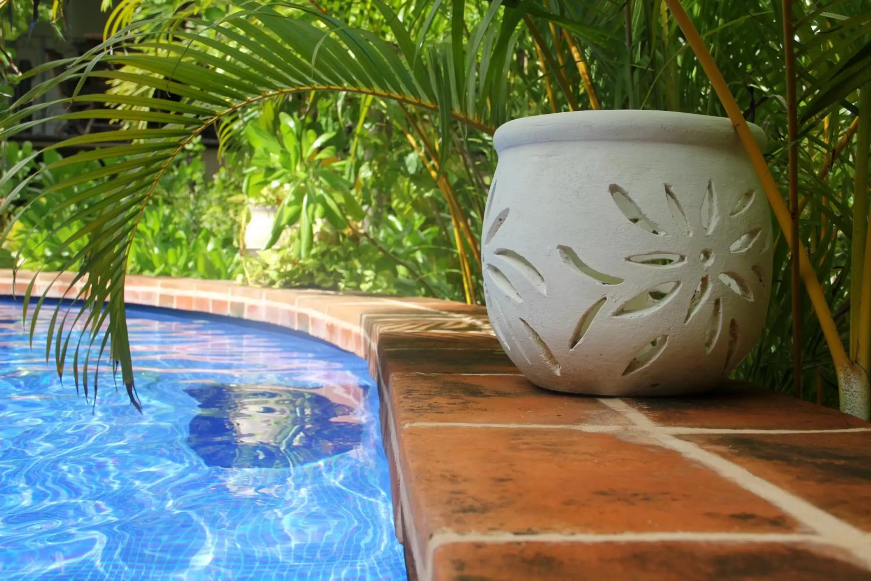 Decorative detail, Swimming Pool in La Pasion Colonial Hotel Boutique By Bunik