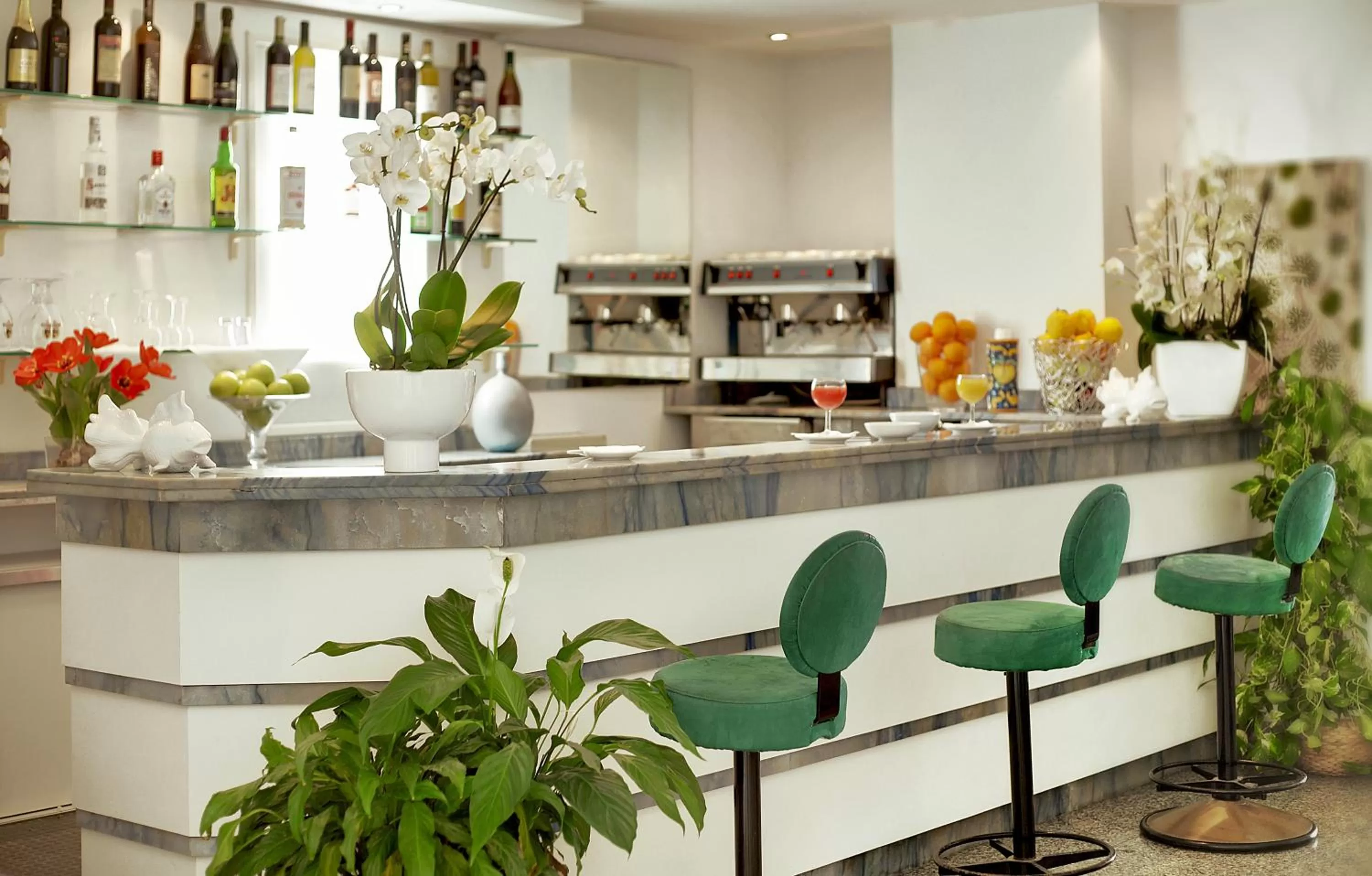 Lounge or bar in Hotel Mida