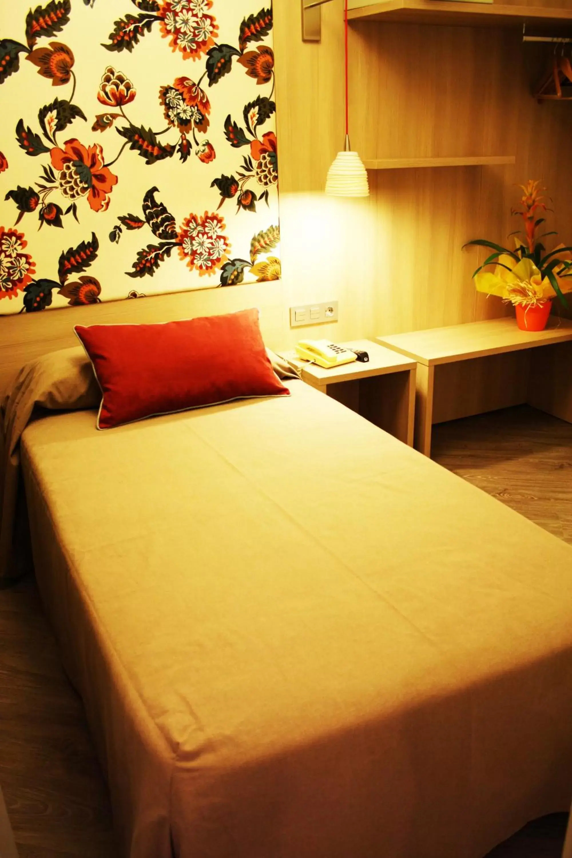 Single Room in Hotel Ginebra