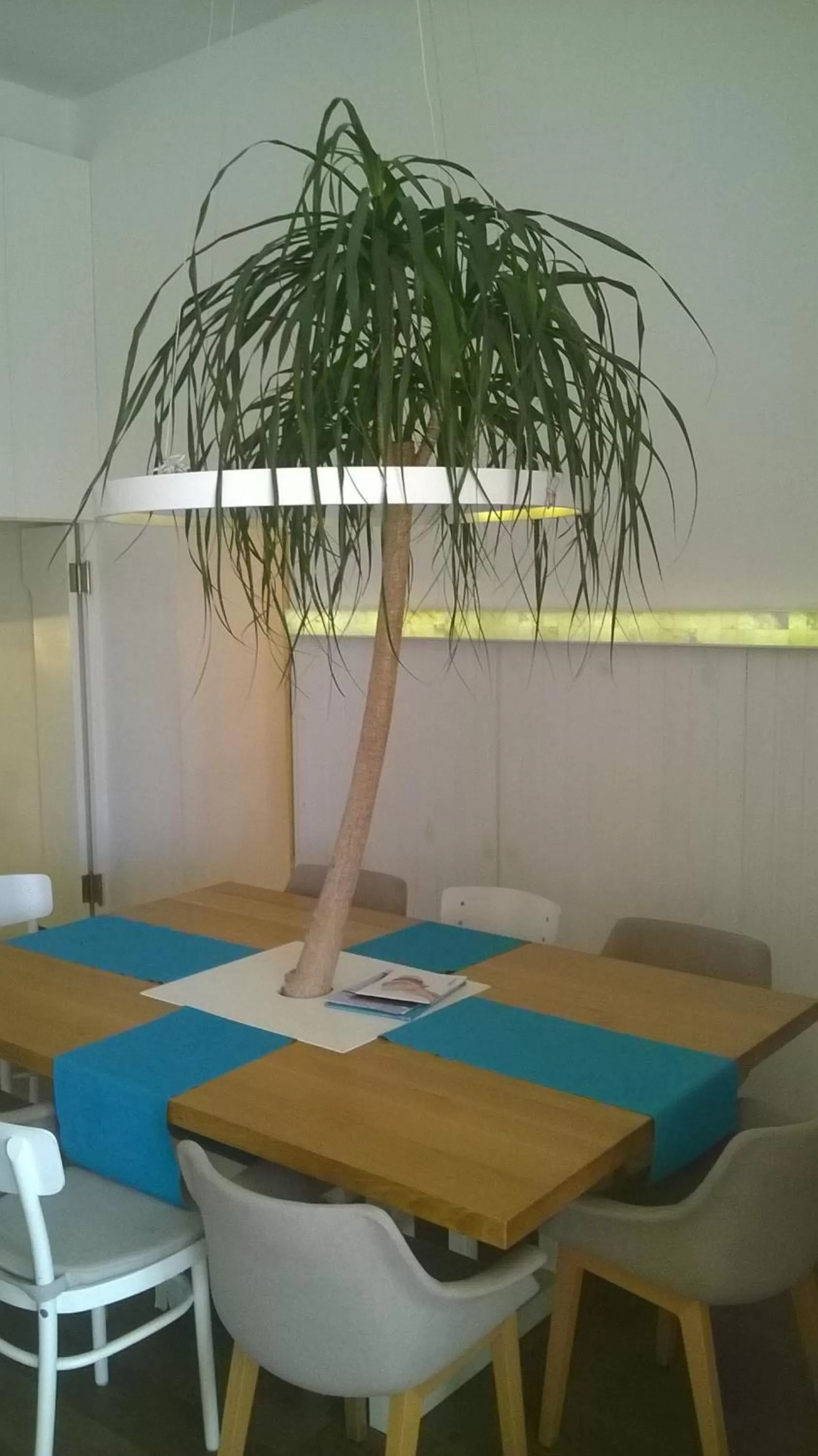 Restaurant/places to eat in Luxury rooms Skystar-Split