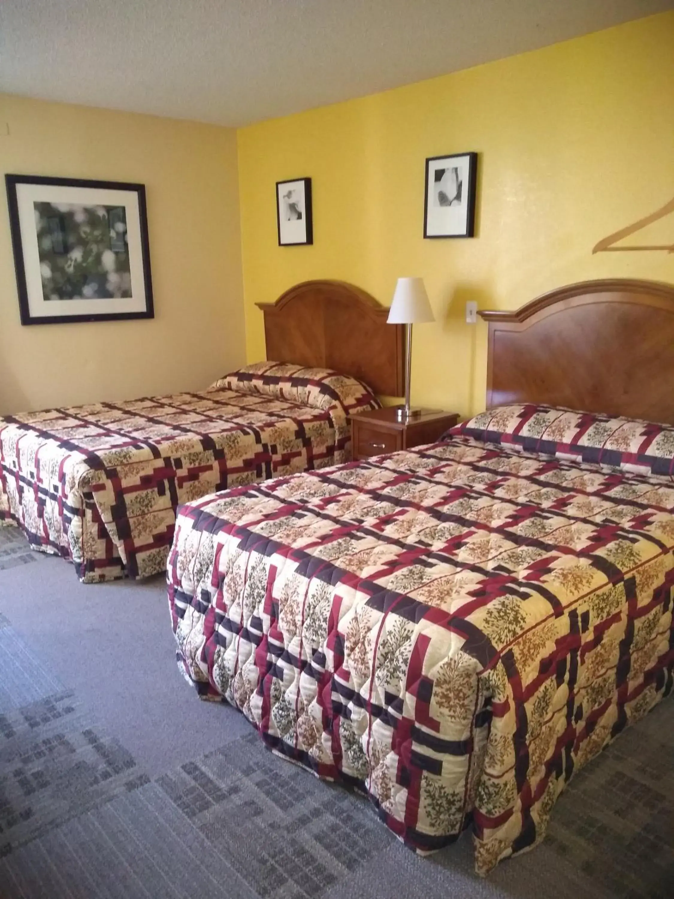 Bed in Red Carpet Inn-Macon