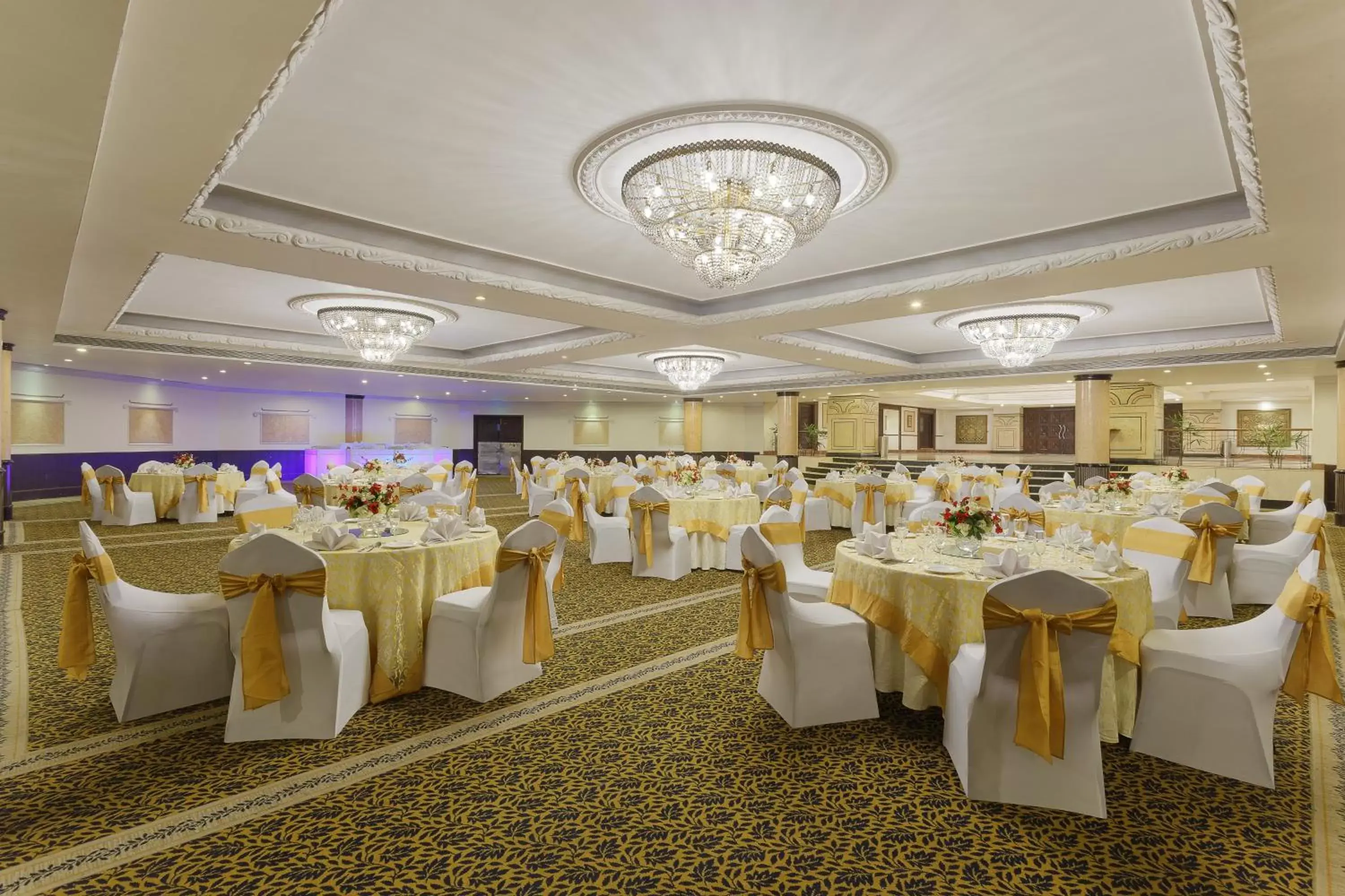 Banquet Facilities in Park Plaza, Ludhiana