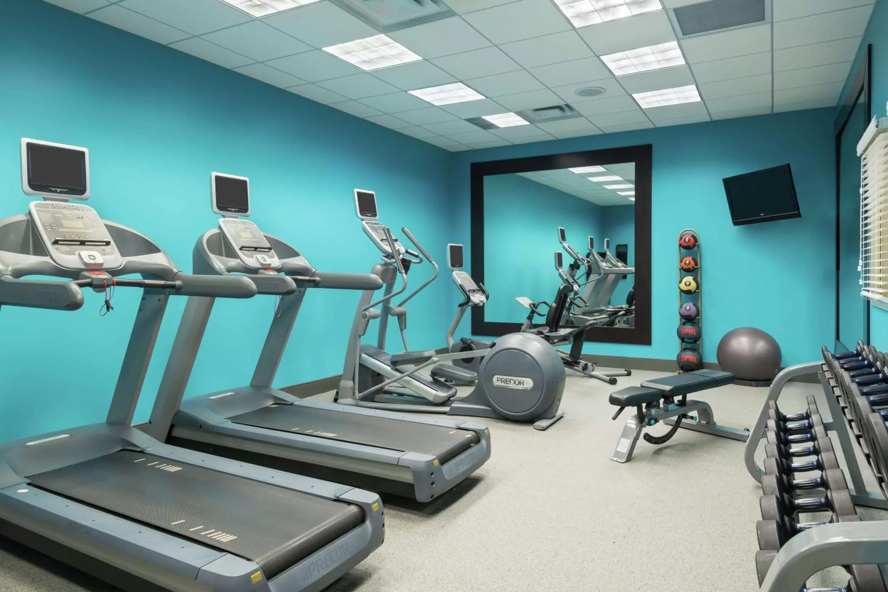 Fitness centre/facilities, Fitness Center/Facilities in Hilton Garden Inn Tampa Airport/Westshore