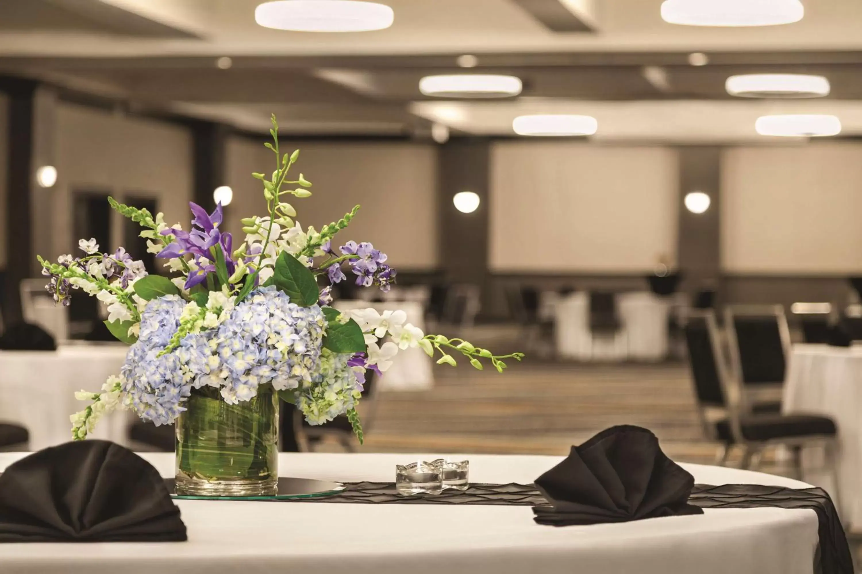 Meeting/conference room, Banquet Facilities in Hilton Knoxville Airport