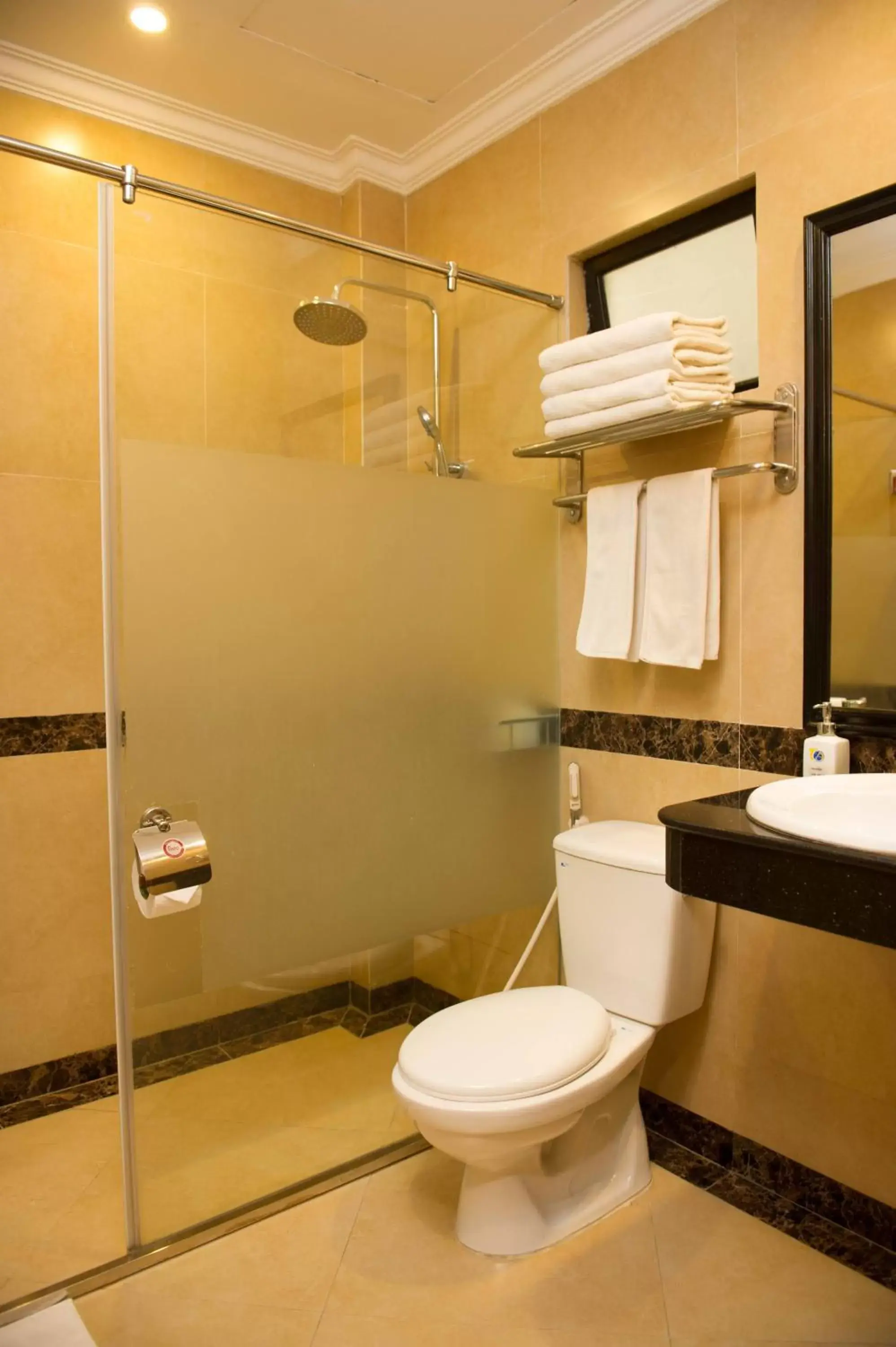 Toilet, Bathroom in Thuy Anh Hotel