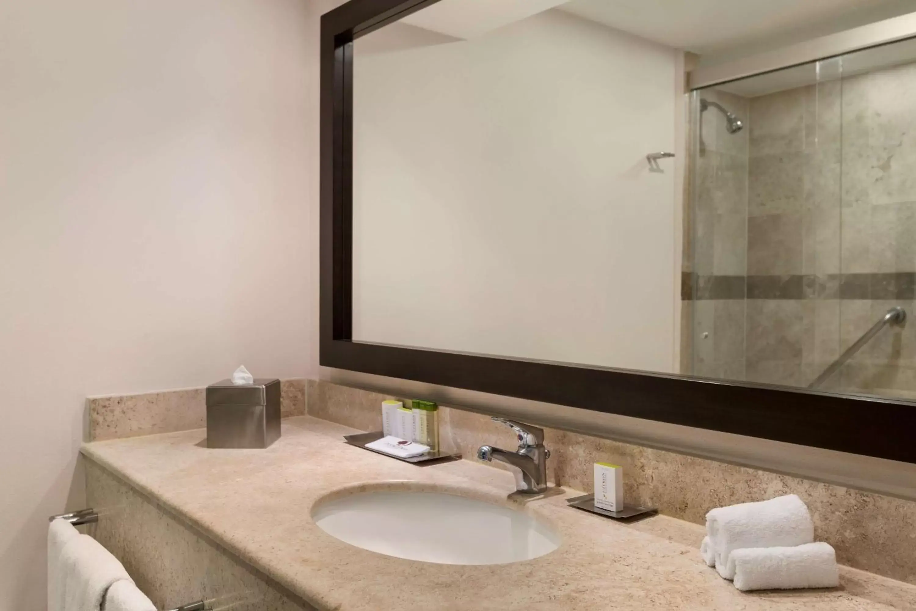 Bathroom in DoubleTree by Hilton Queretaro