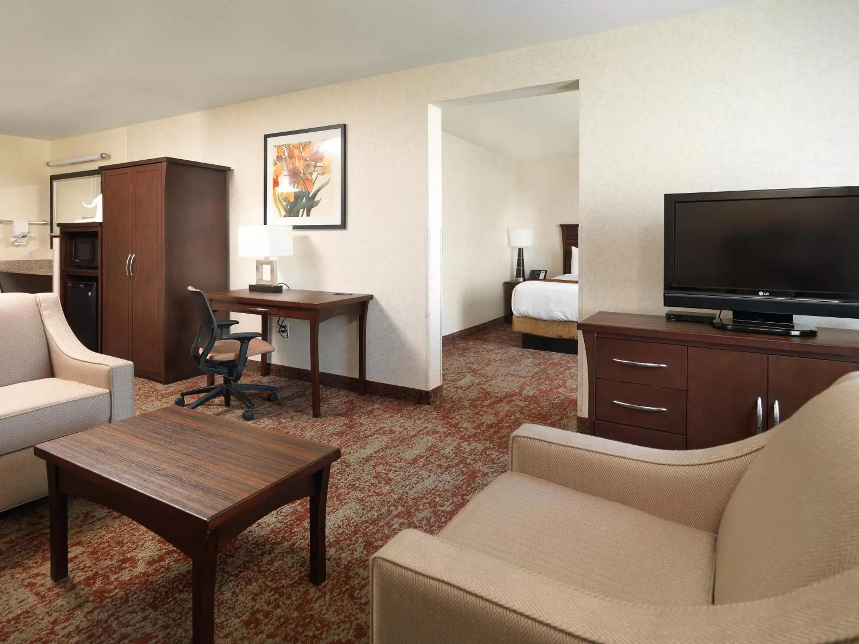 TV/Entertainment Center in Crystal Inn Hotel & Suites - Salt Lake City