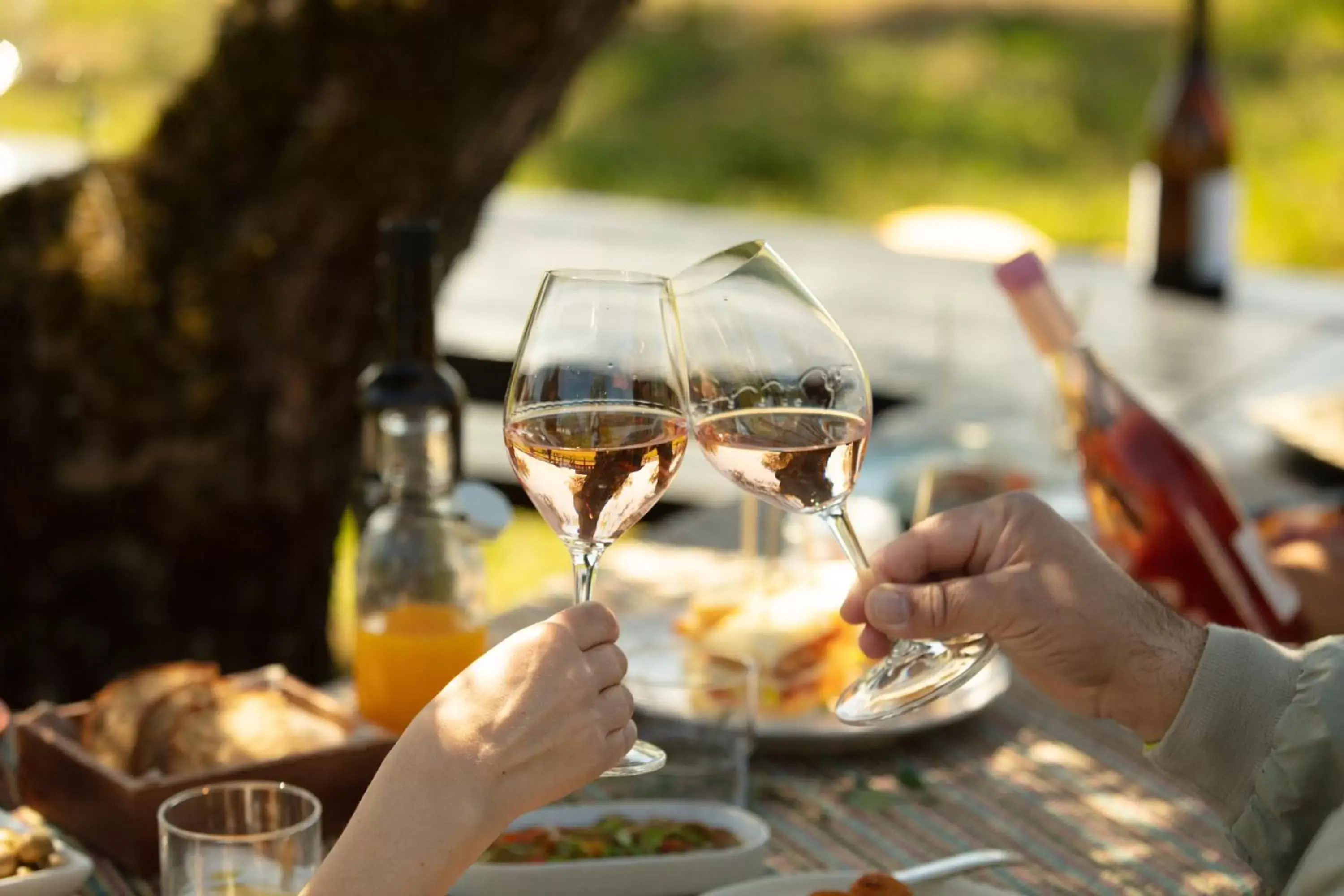 Food and drinks in Torre de Palma Wine Hotel, Monforte, a Member of Design Hotels Food and drinks in Torre de Palma Wine Hotel, Monforte, a Member of Design Hotels