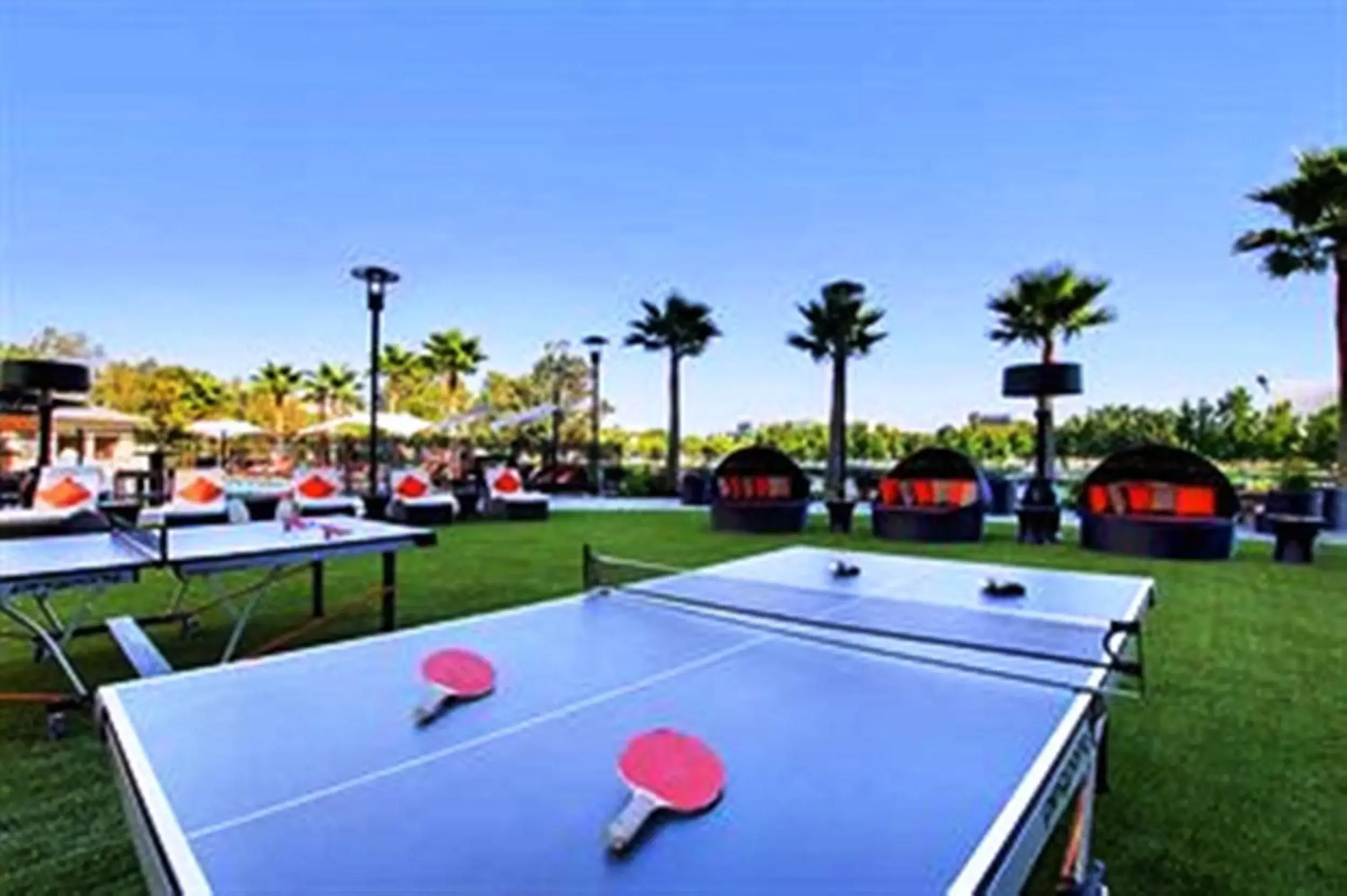 Other, Table Tennis in University Plaza Waterfront Hotel