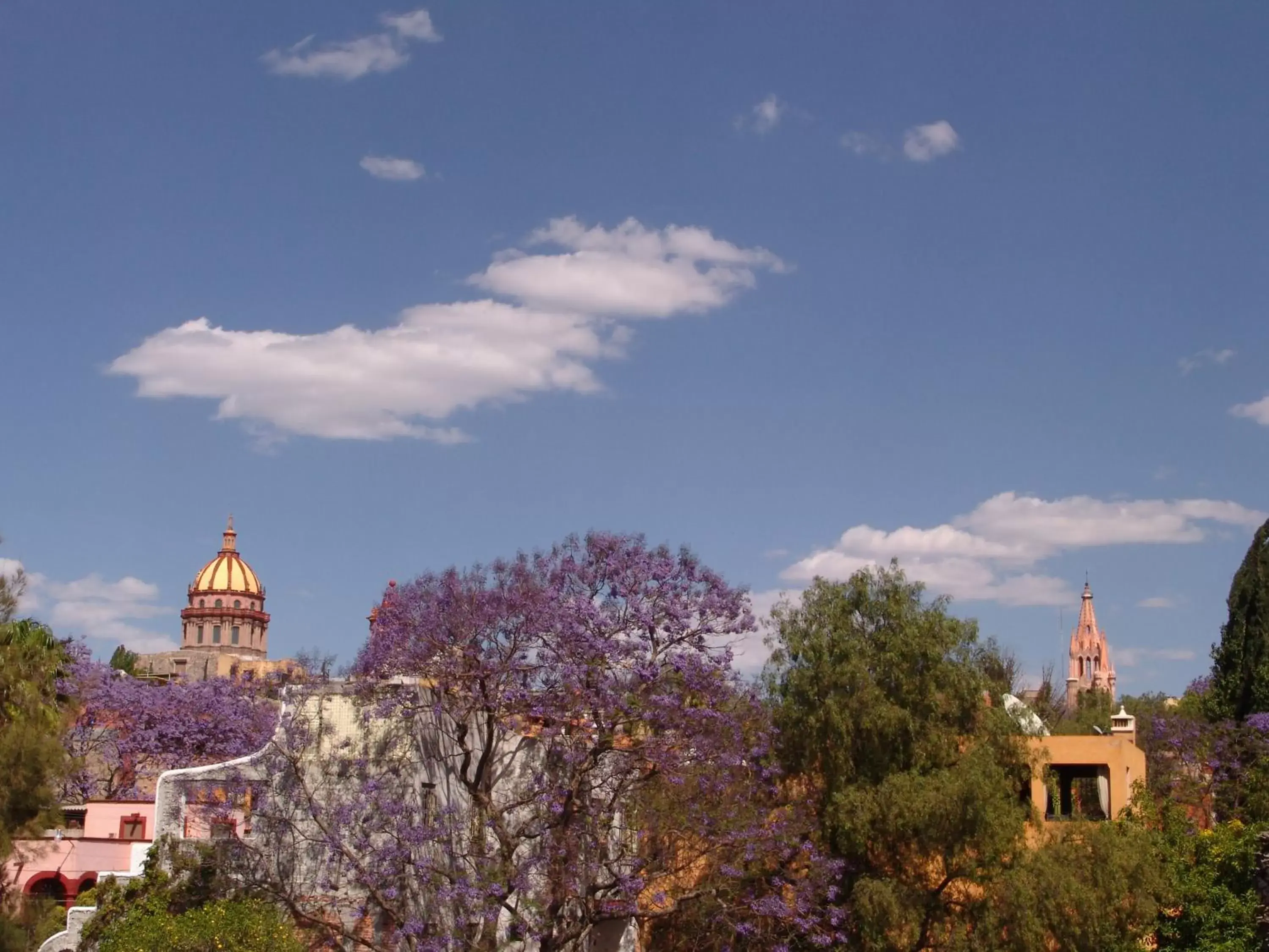 Neighbourhood in Hotel Casa Don Quijote