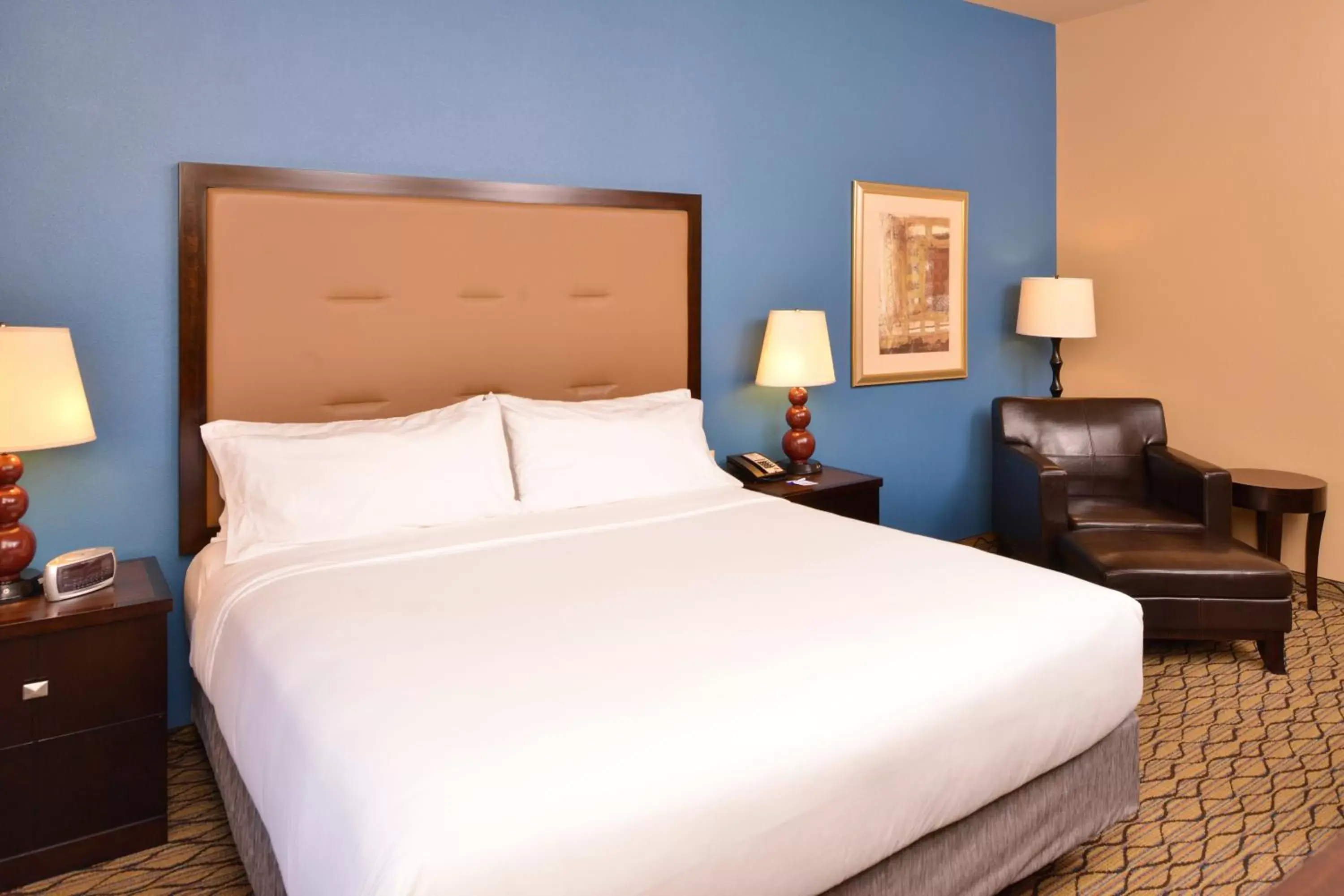 Photo of the whole room, Bed in Holiday Inn Express Hotel & Suites Wichita Falls, an IHG Hotel