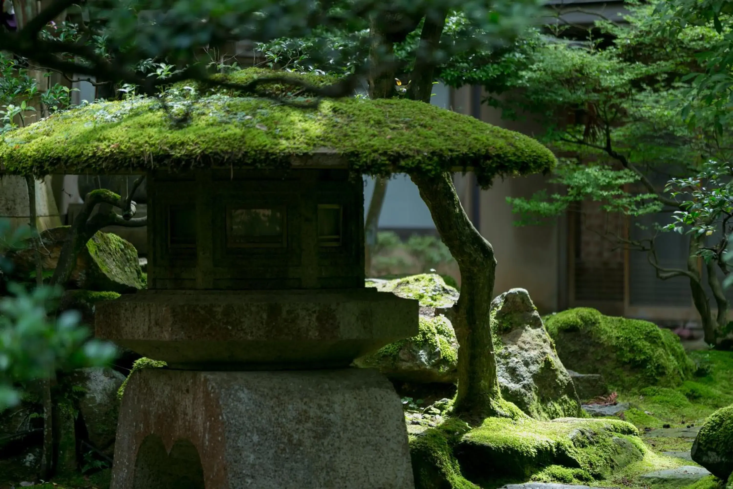 Garden in Hoshi